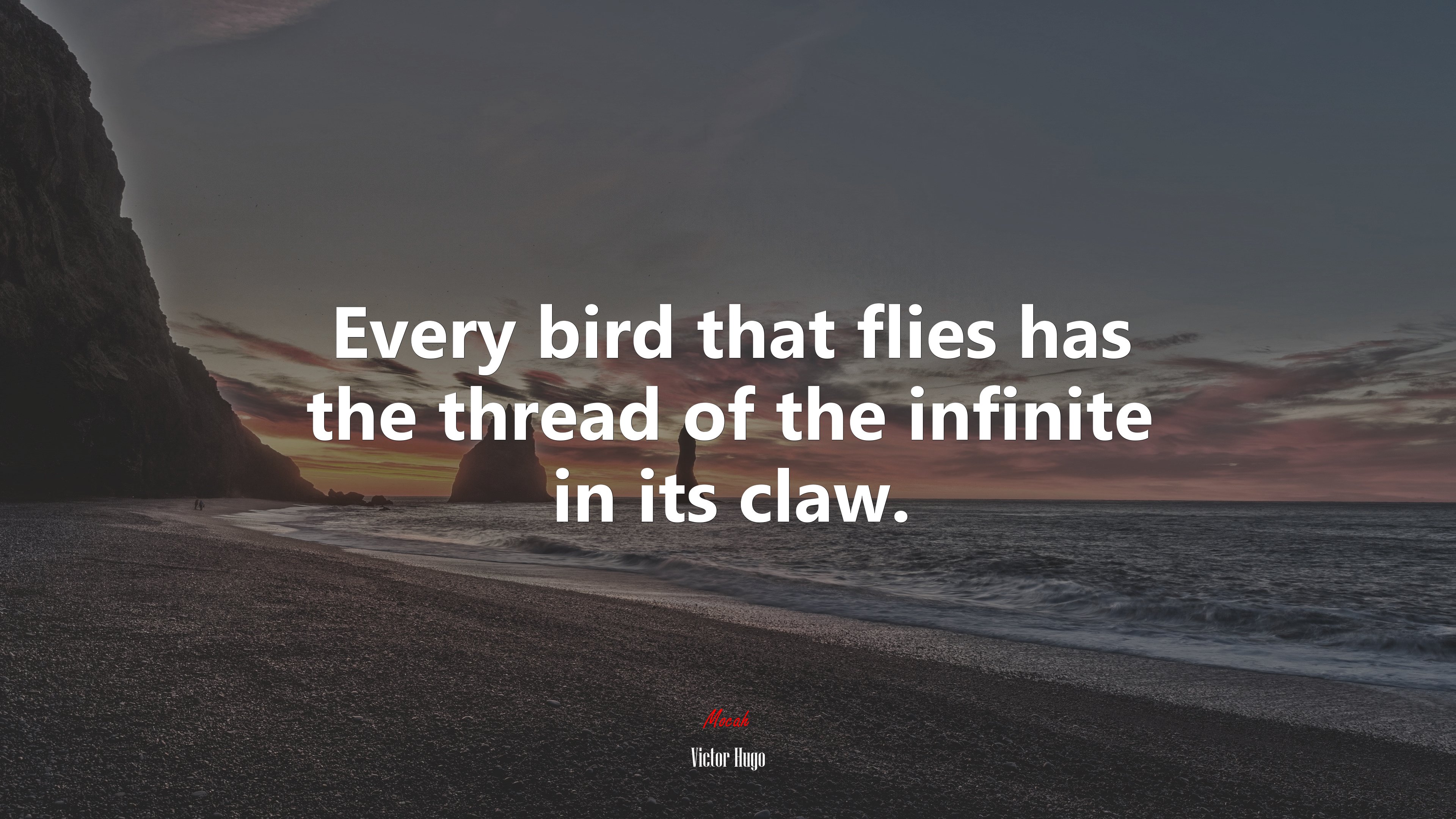 Every bird that flies has the thread of the infinite in its claw. | Victor Hugo quote HD Wallpaper