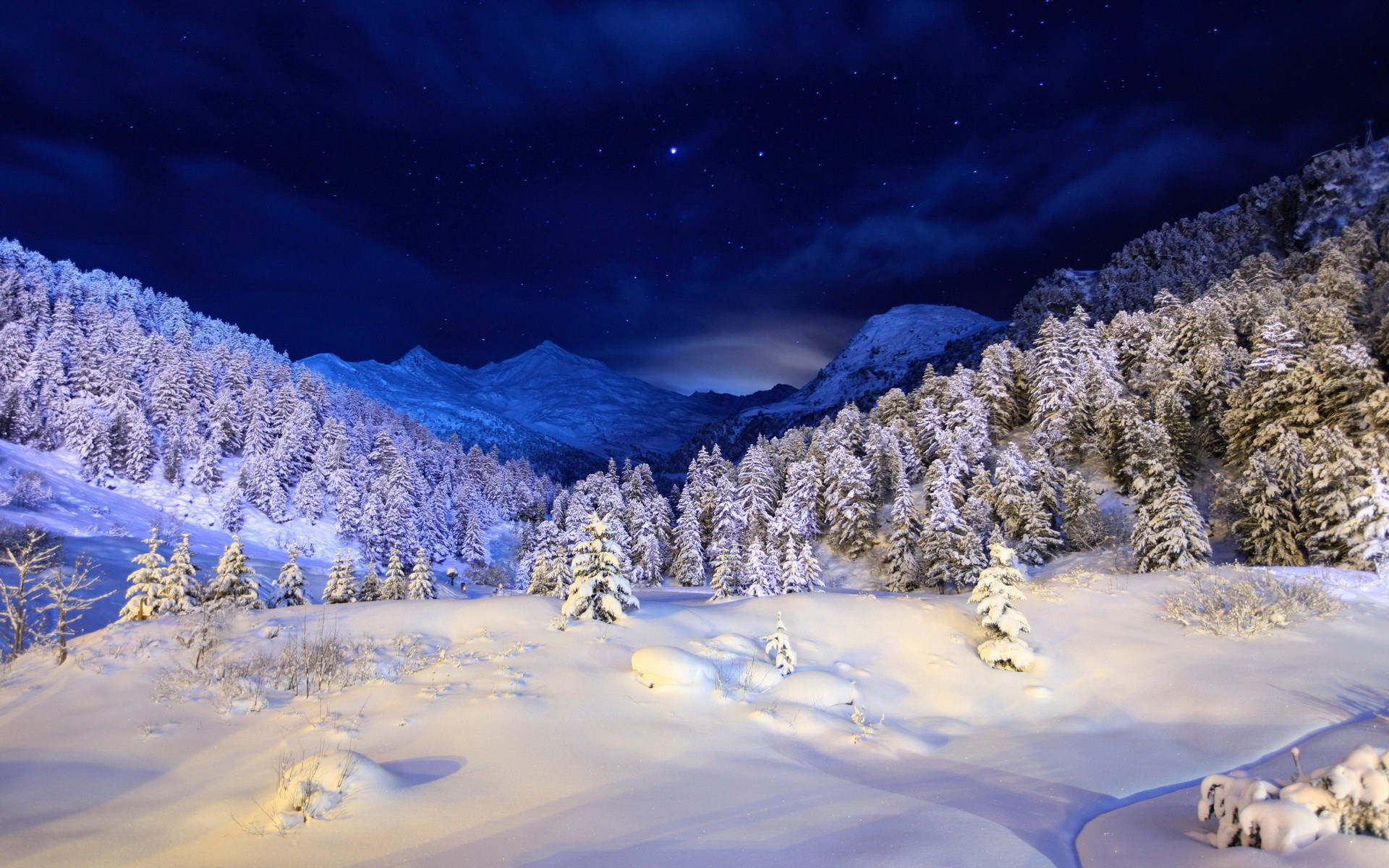 Snowy mountains and forest under a starry night sky HD Wallpaper
