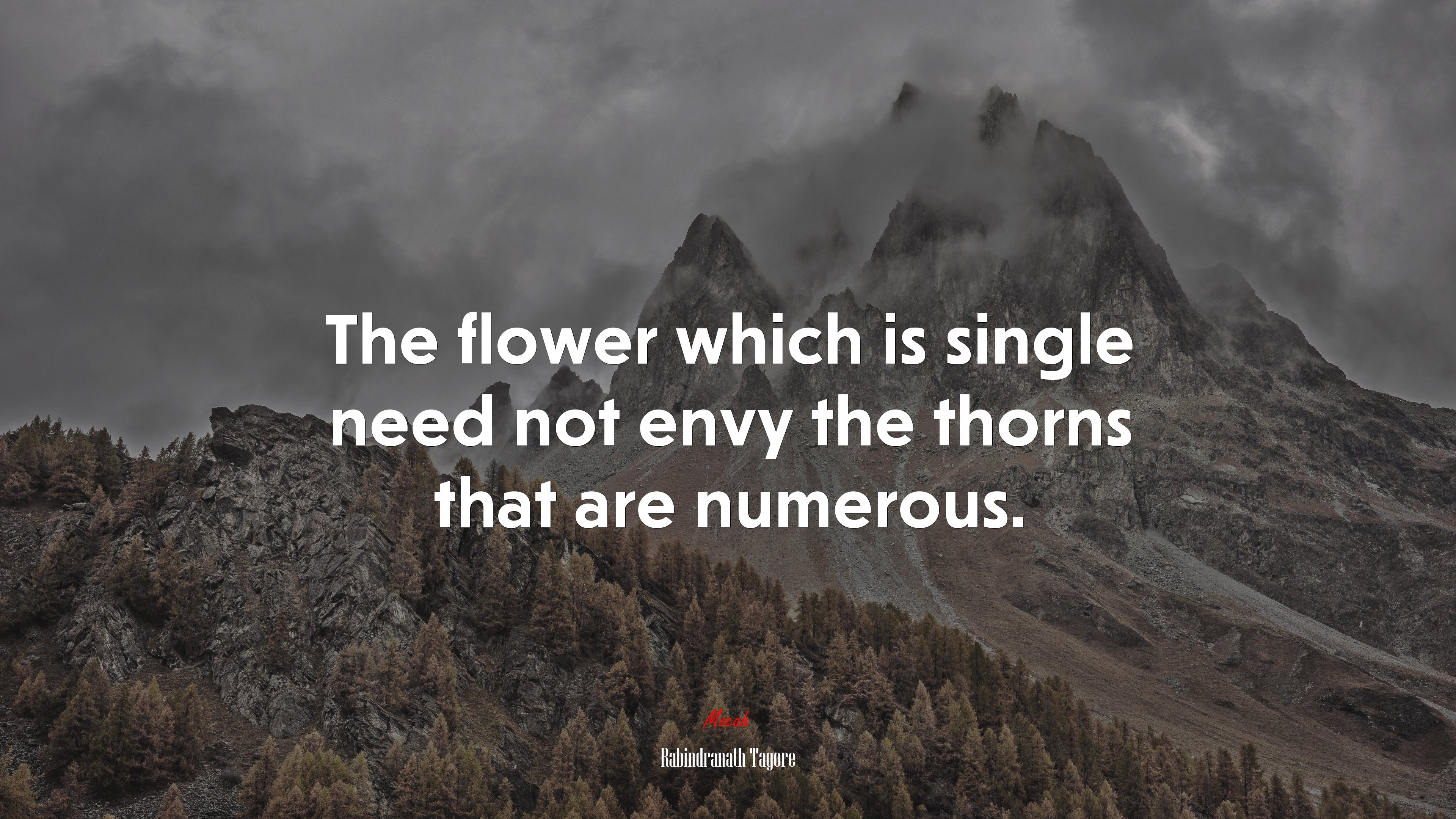 The flower which is single need not envy the thorns that are numerous. | Rabindranath Tagore quote HD Wallpaper