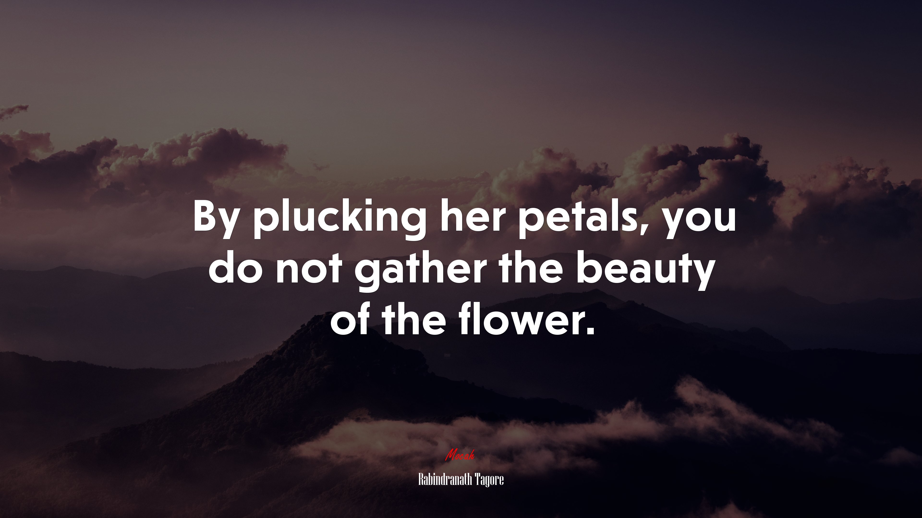 By plucking her petals, you do not gather the beauty of the flower. | Rabindranath Tagore quote HD Wallpaper