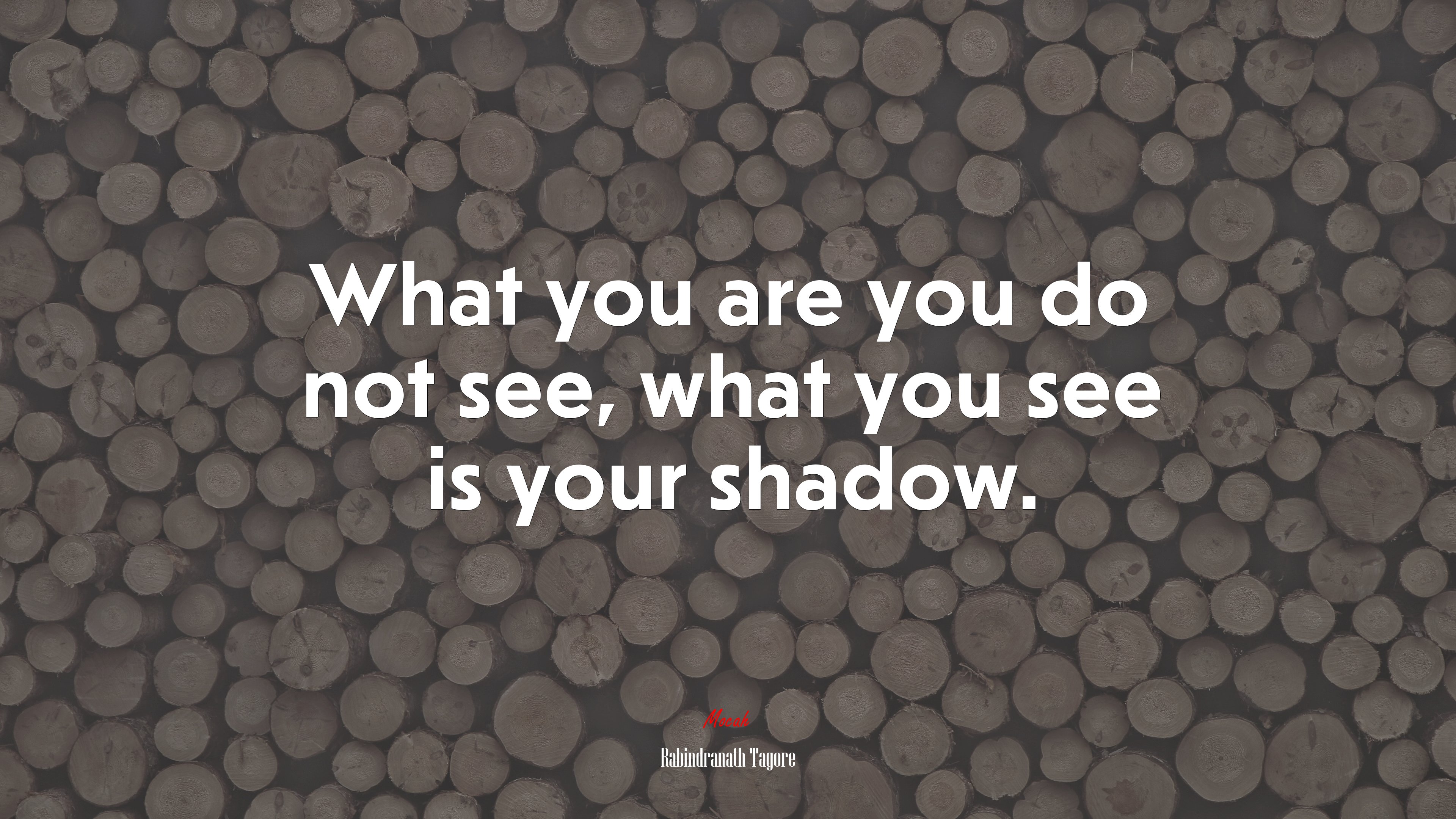 What you are you do not see, what you see is your shadow. | Rabindranath Tagore quote HD Wallpaper