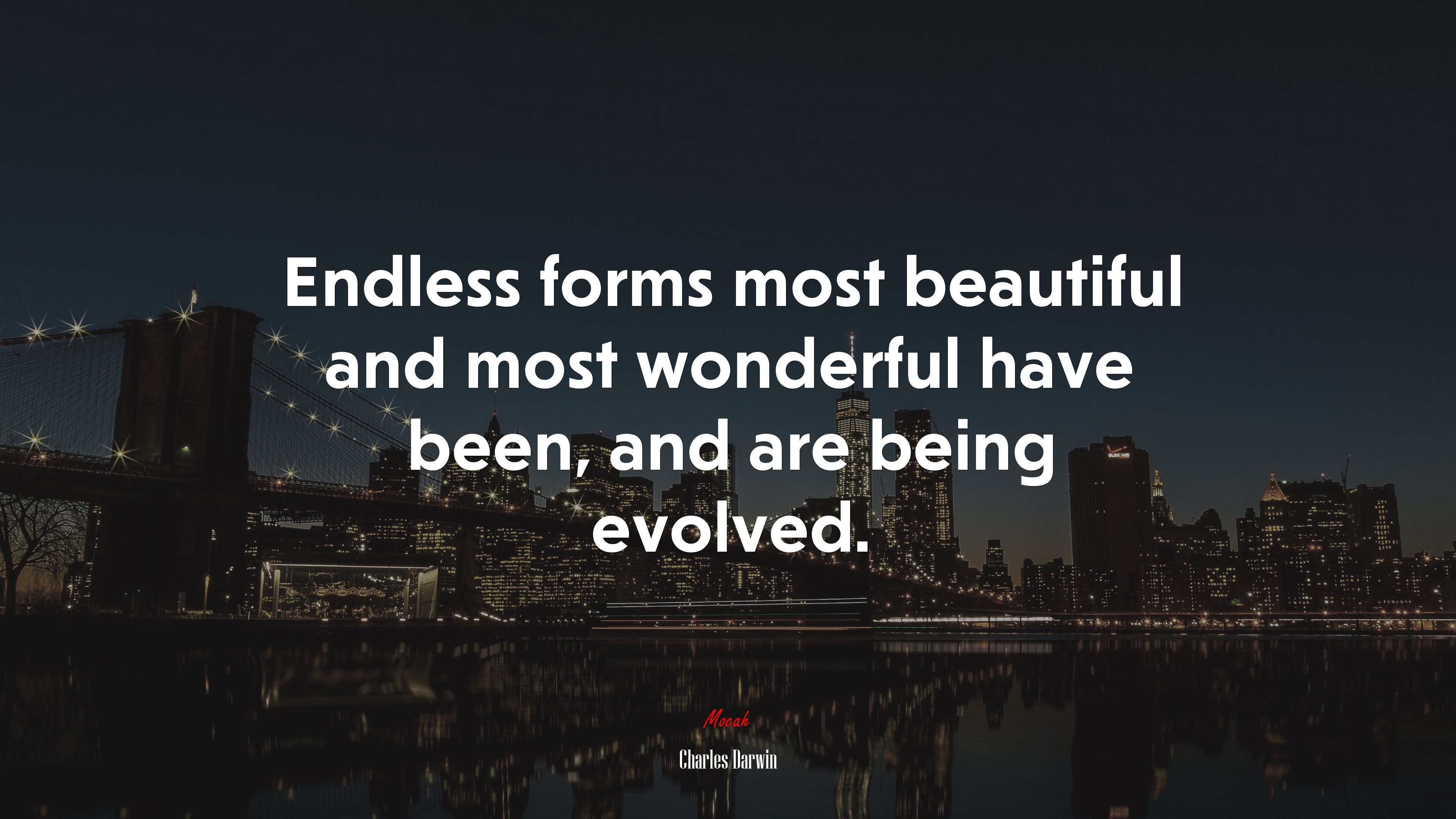 Endless forms most beautiful and most wonderful have been, and are being evolved. | Charles Darwin quote HD Wallpaper