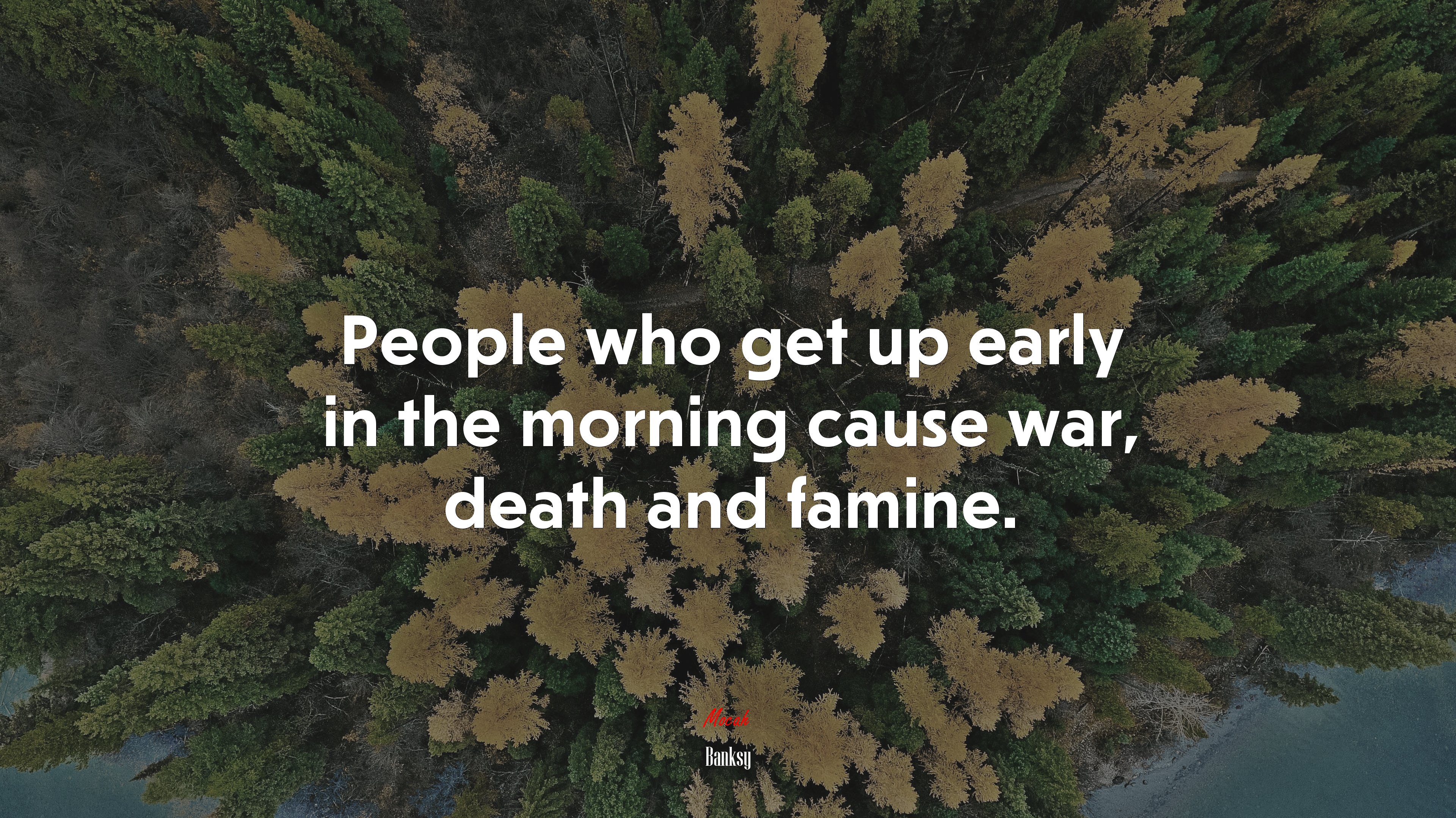 People who get up early in the morning cause war, death and famine. | Banksy quote HD Wallpaper