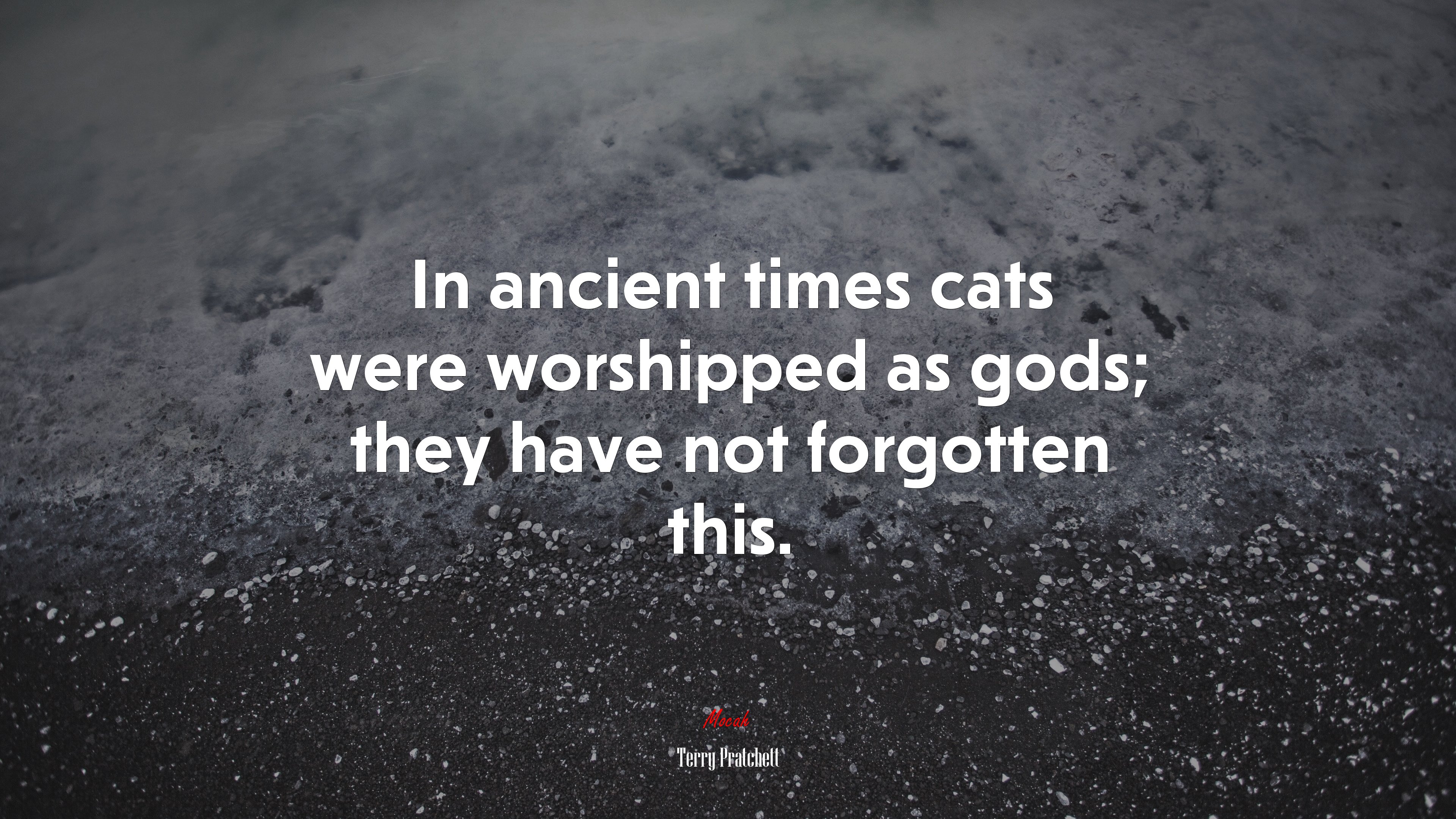 In ancient times cats were worshipped as gods; they have not forgotten this. | Terry Pratchett quote HD Wallpaper