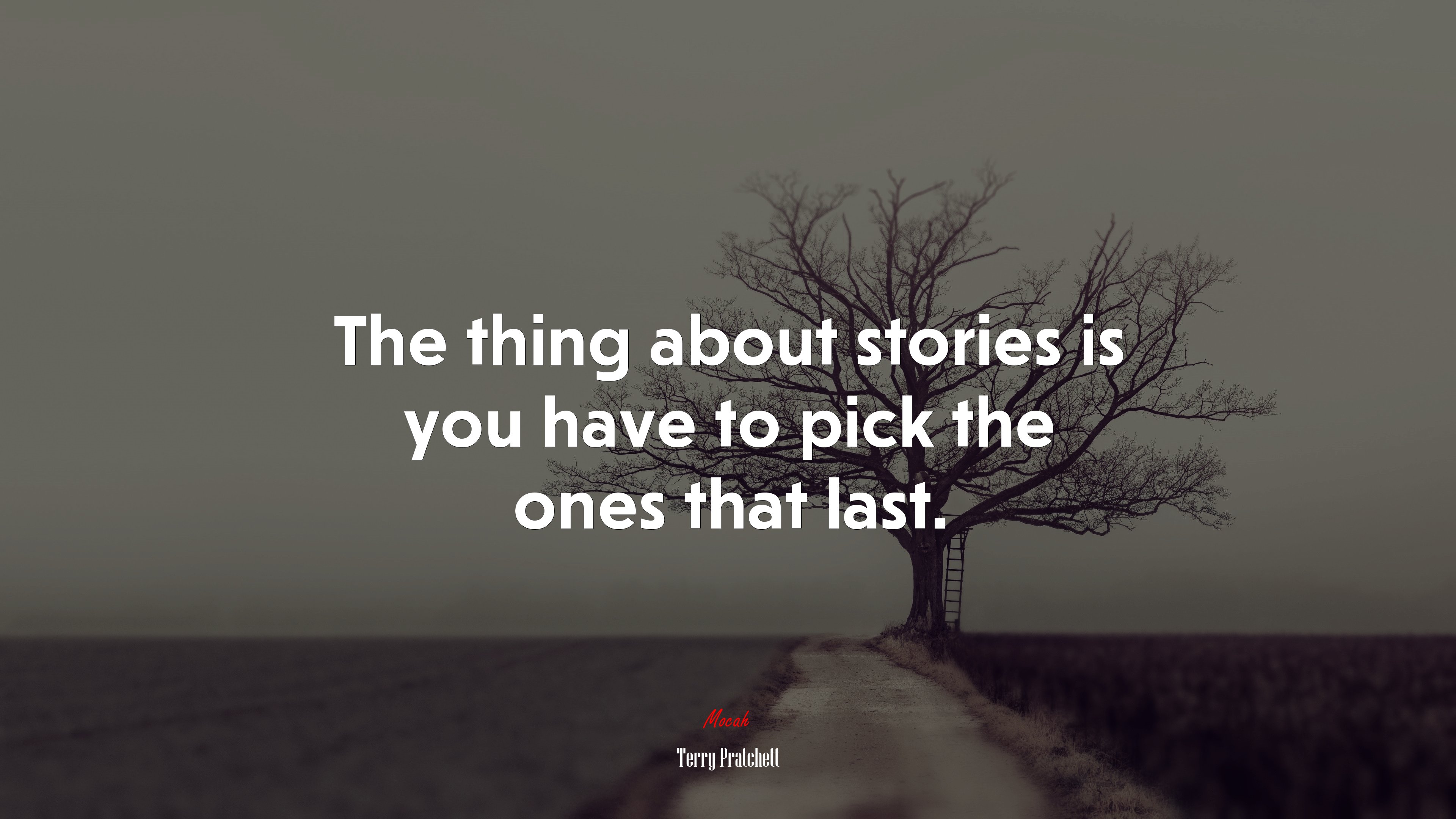 The thing about stories is you have to pick the ones that last. | Terry Pratchett quote HD Wallpaper