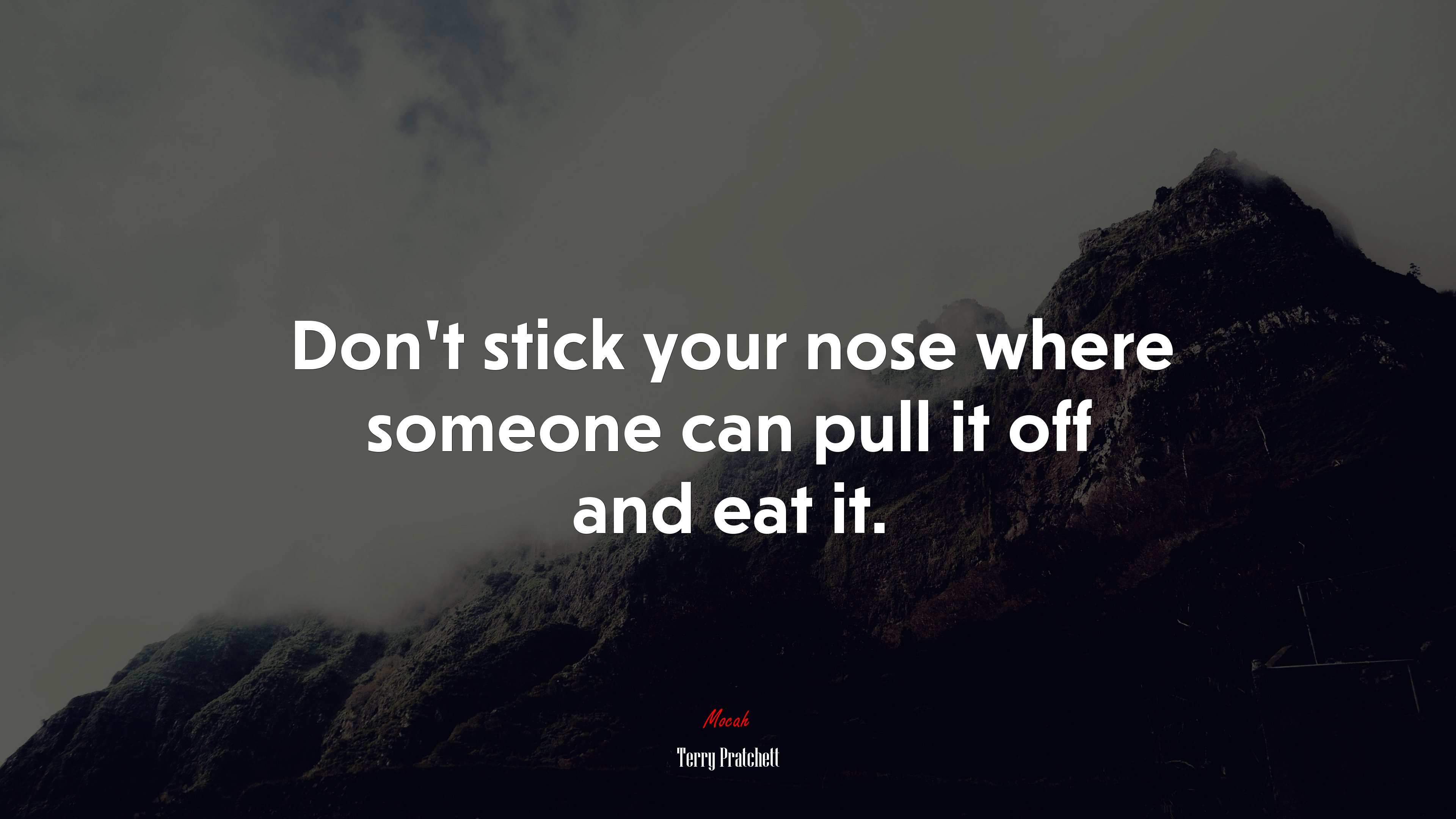 Don’t stick your nose where someone can pull it off and eat it. | Terry Pratchett quote HD Wallpaper