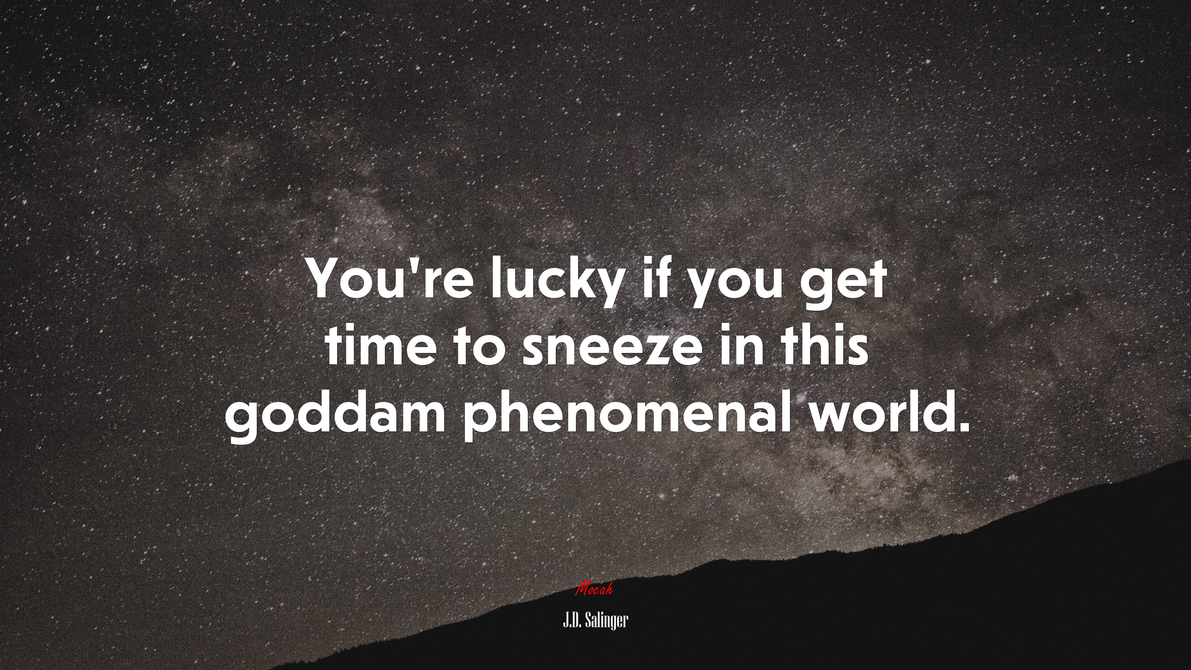You’re lucky if you get time to sneeze in this goddam phenomenal world. | J.D. Salinger quote HD Wallpaper