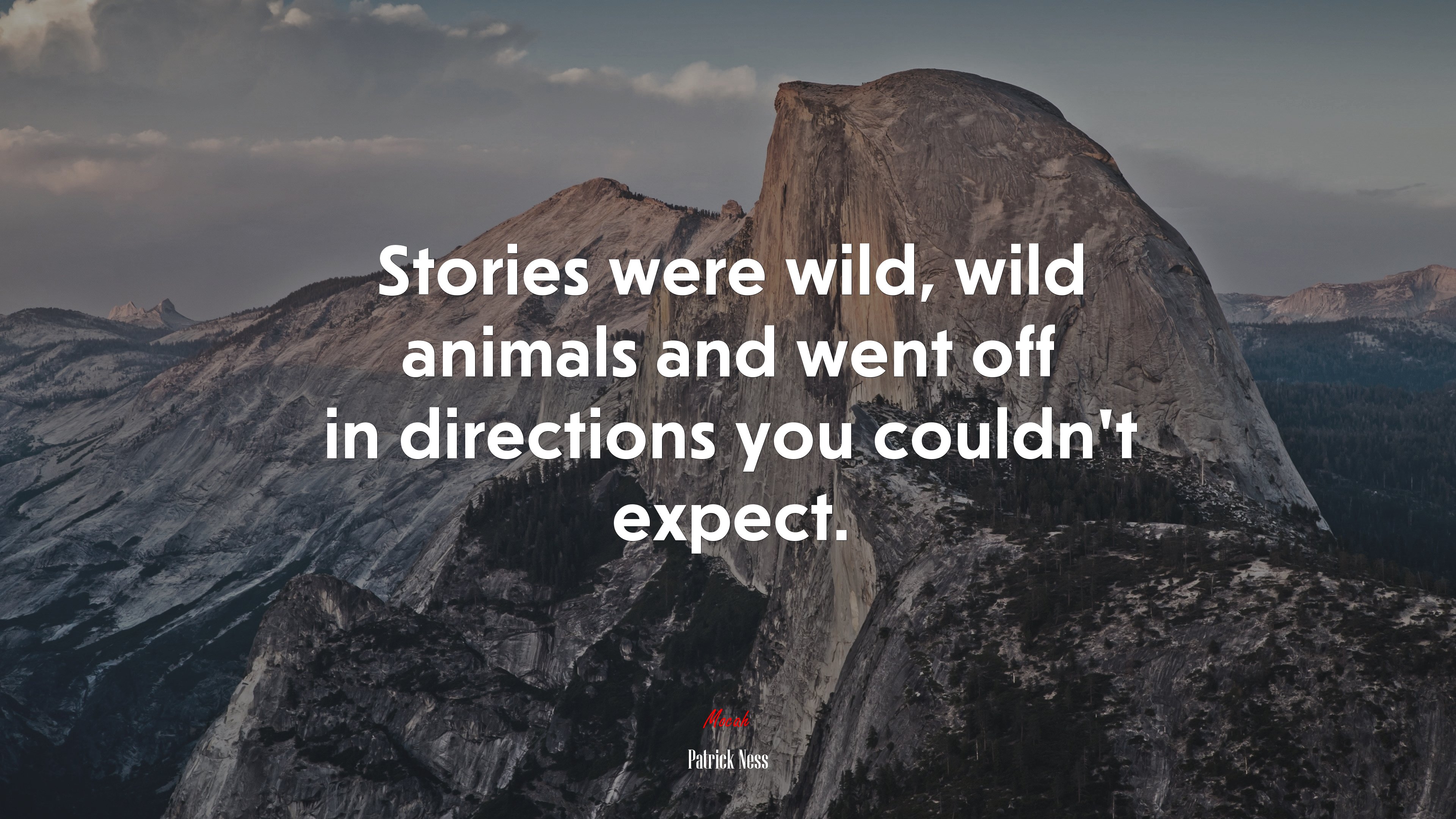 Stories were wild, wild animals and went off in directions you couldn’t expect. | Patrick Ness quote HD Wallpaper