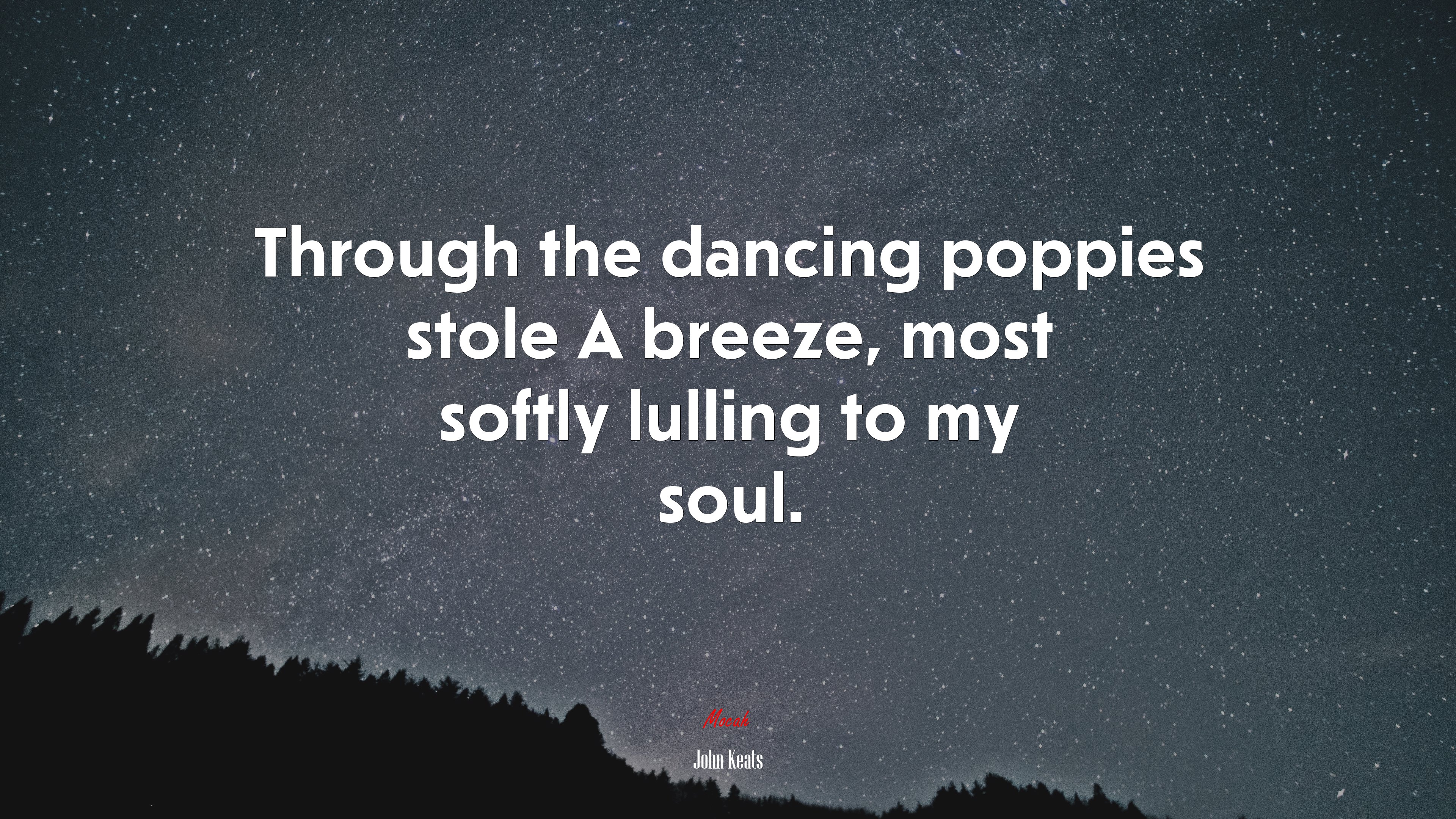 Through the dancing poppies stole A breeze, most softly lulling to my soul. | John Keats quote HD Wallpaper