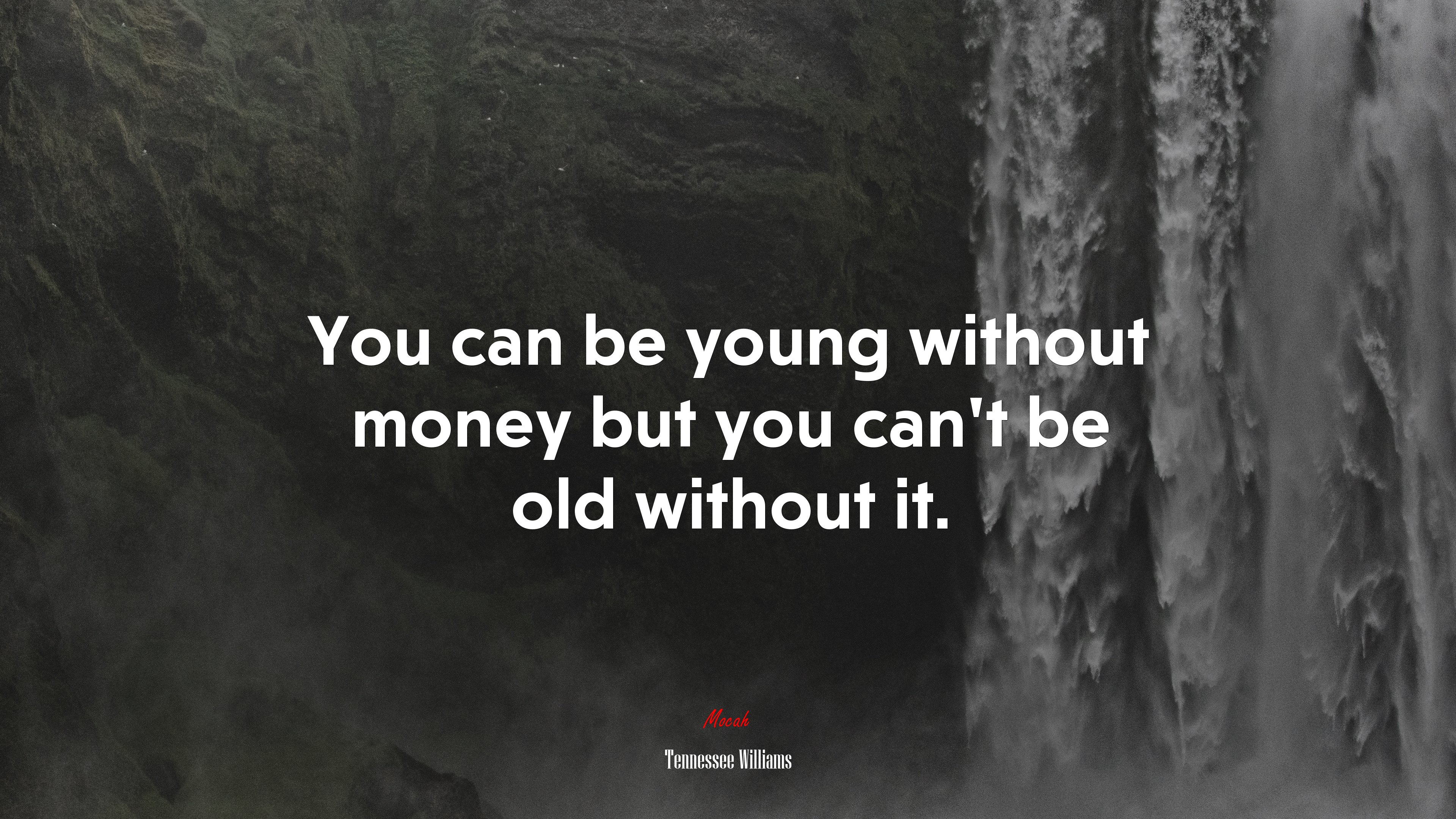 You can be young without money but you can’t be old without it. | Tennessee Williams quote HD Wallpaper