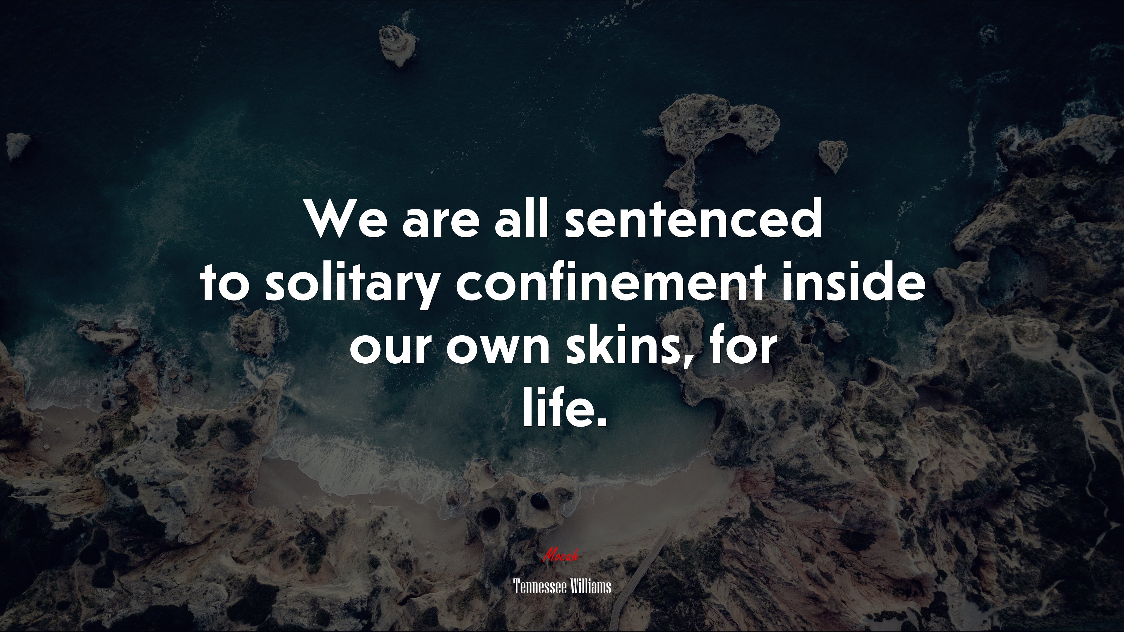 We are all sentenced to solitary confinement inside our own skins, for life. | Tennessee Williams quote HD Wallpaper