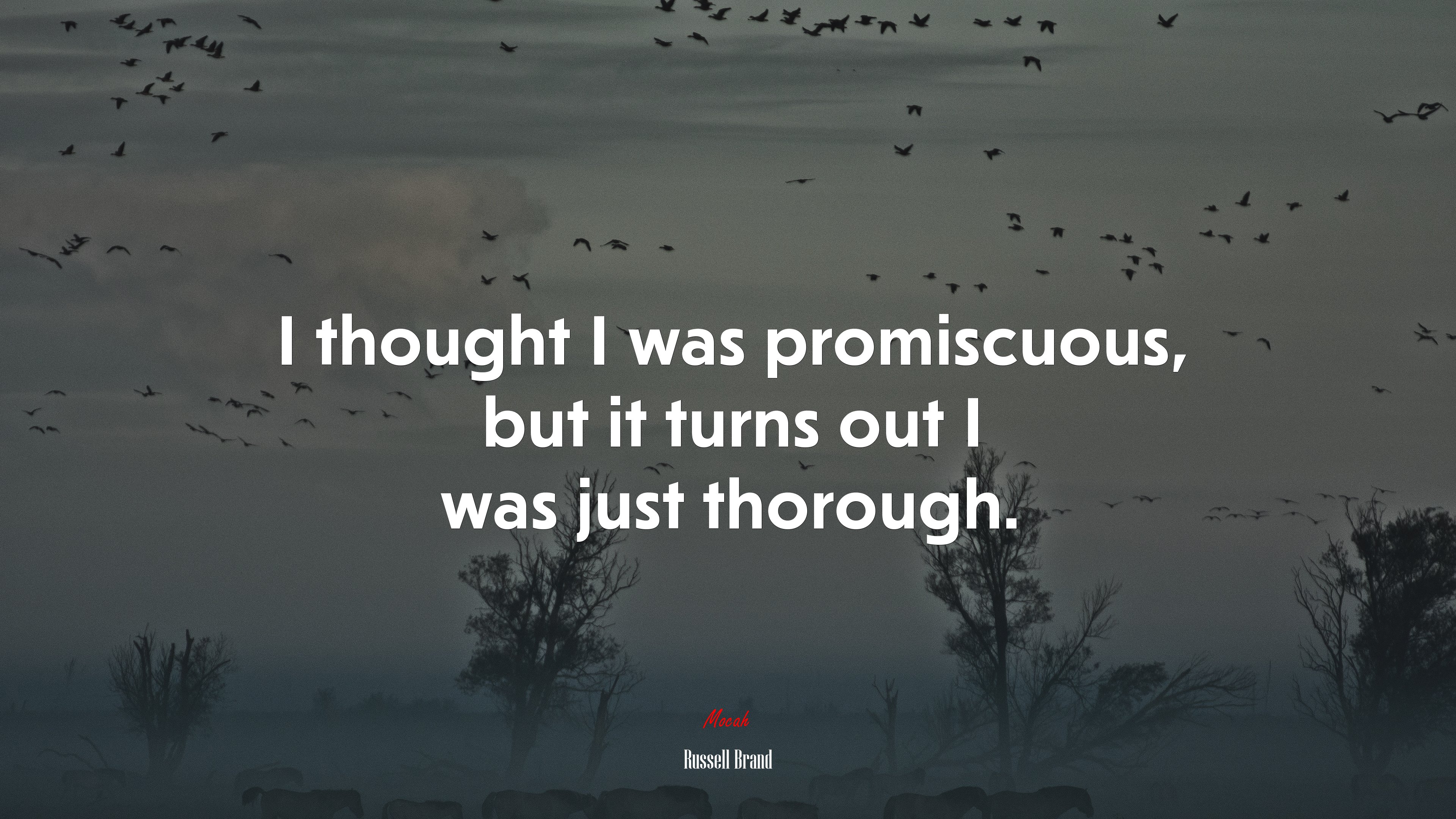 I thought I was promiscuous, but it turns out I was just thorough. | Russell Brand quote HD Wallpaper