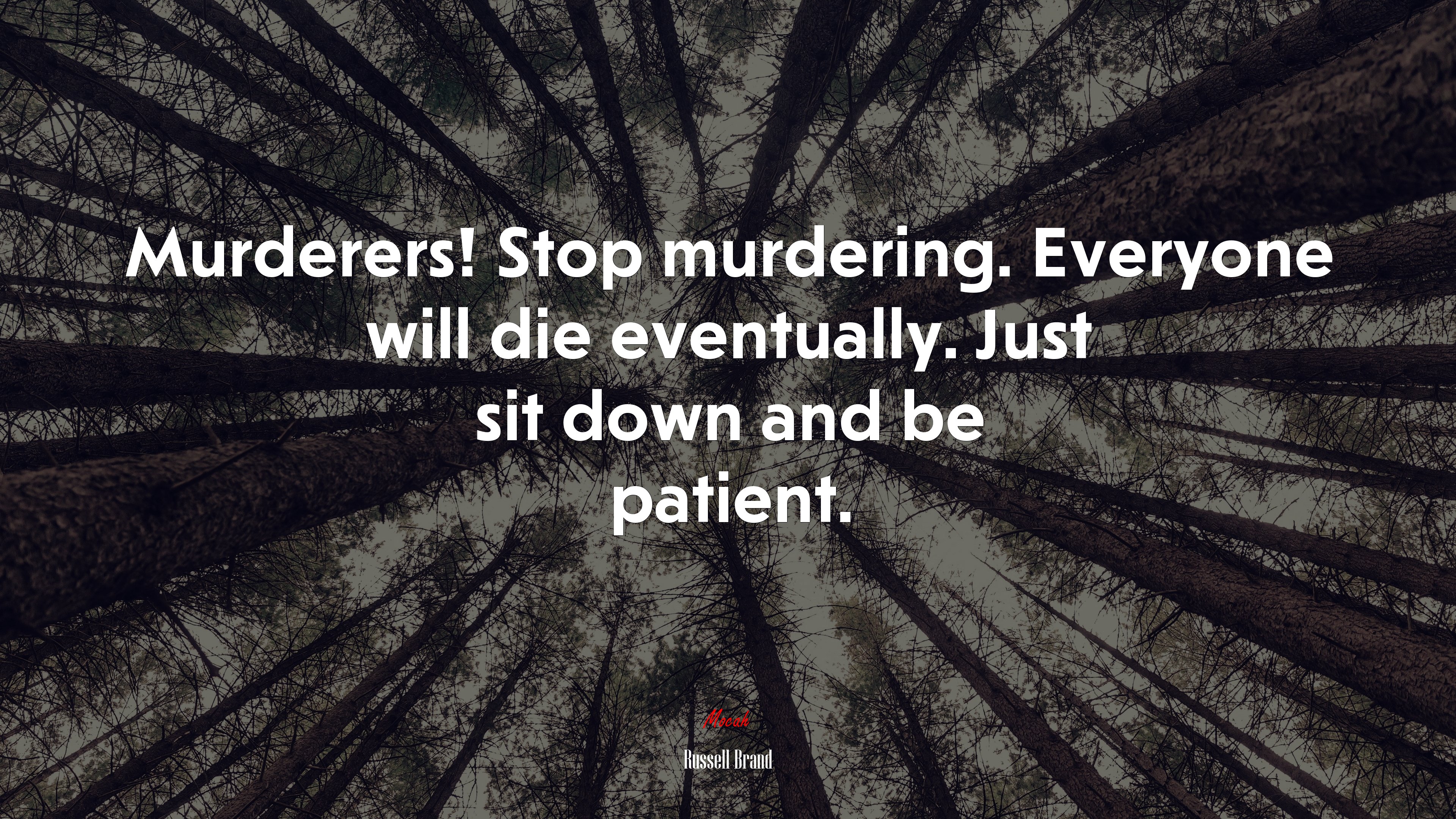 Murderers! Stop murdering. Everyone will die eventually. Just sit down and be patient. | Russell Brand quote HD Wallpaper