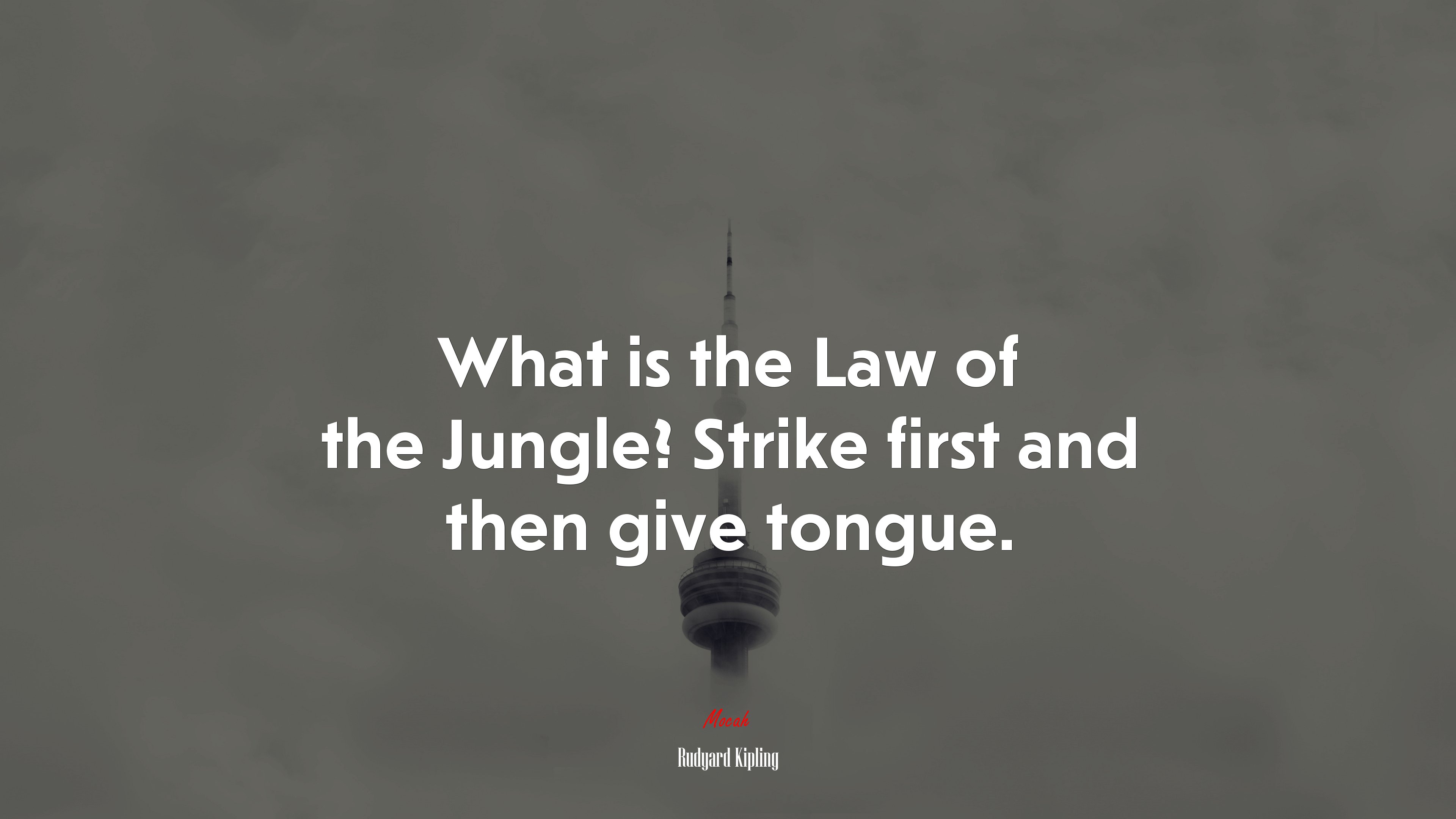 What is the Law of the Jungle? Strike first and then give tongue. | Rudyard Kipling quote HD Wallpaper