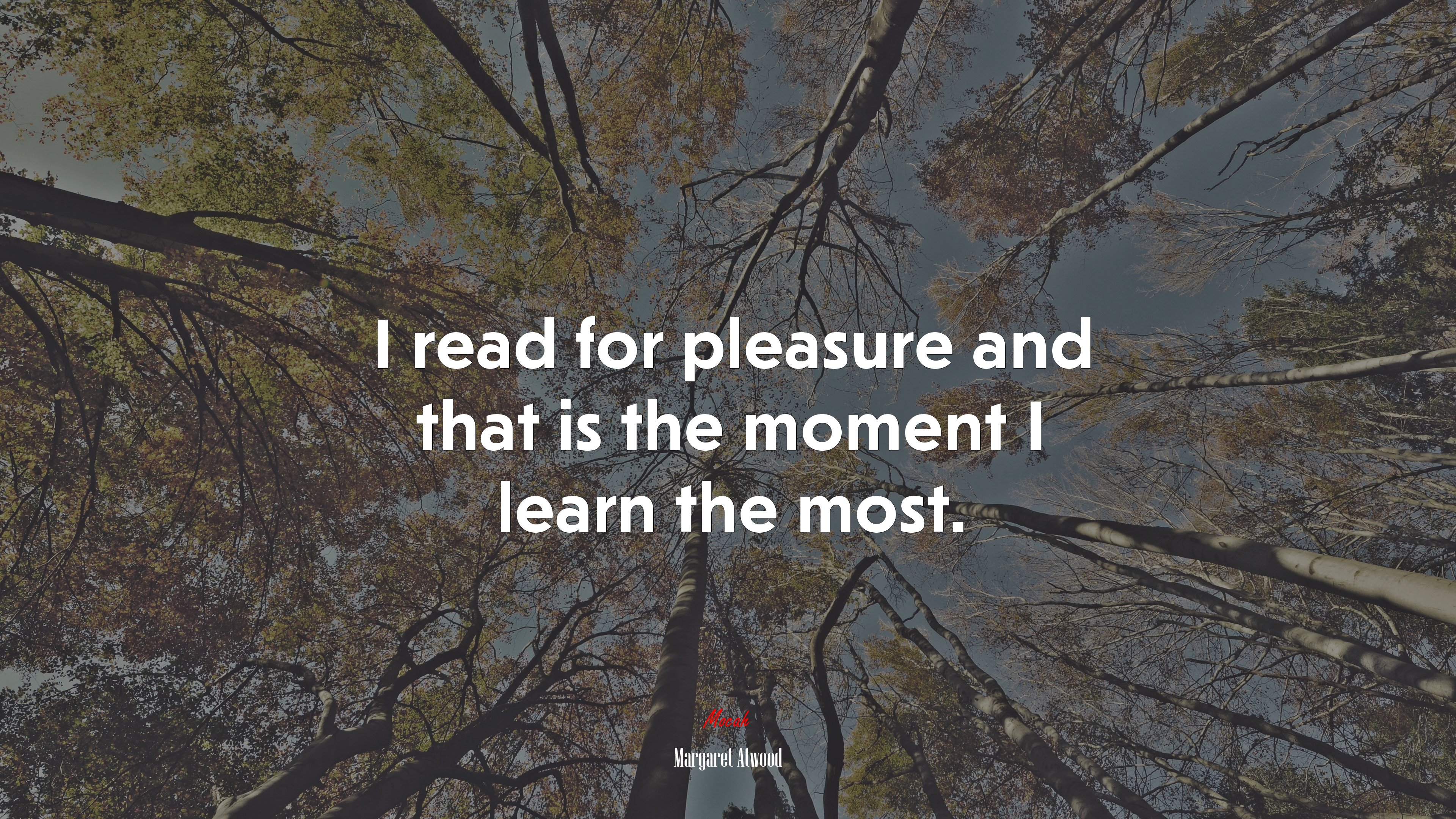 I read for pleasure and that is the moment I learn the most. | Margaret Atwood quote HD Wallpaper
