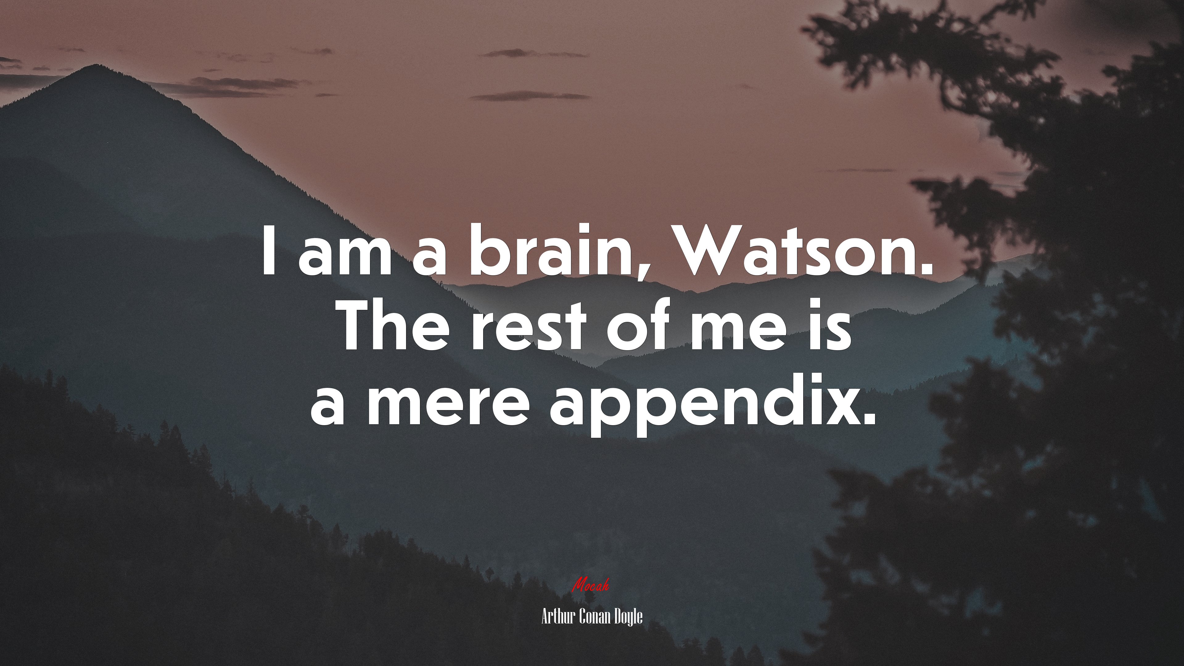 I am a brain, Watson. The rest of me is a mere appendix. | Arthur Conan Doyle quote HD Wallpaper