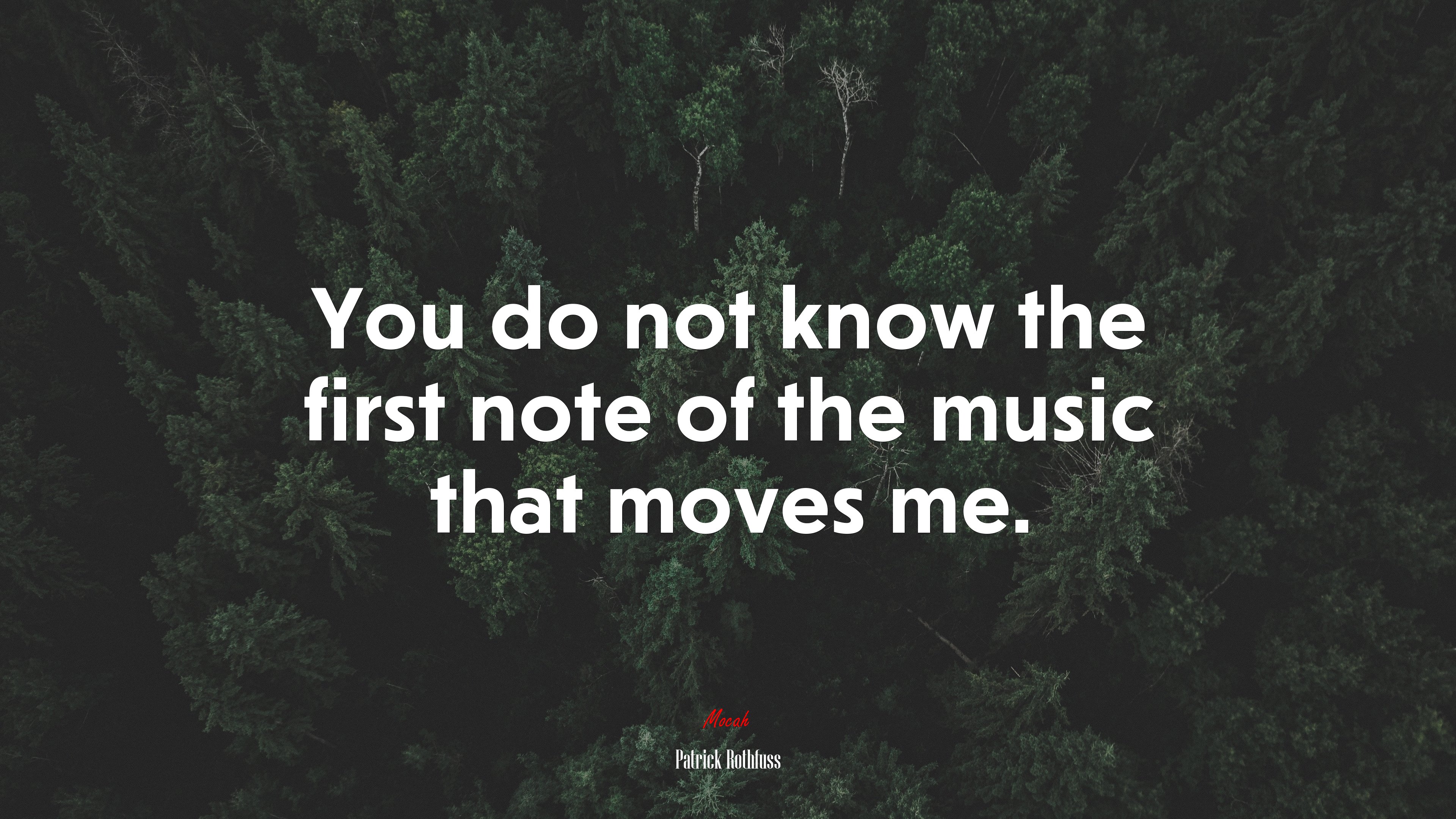 You do not know the first note of the music that moves me. | Patrick Rothfuss quote HD Wallpaper