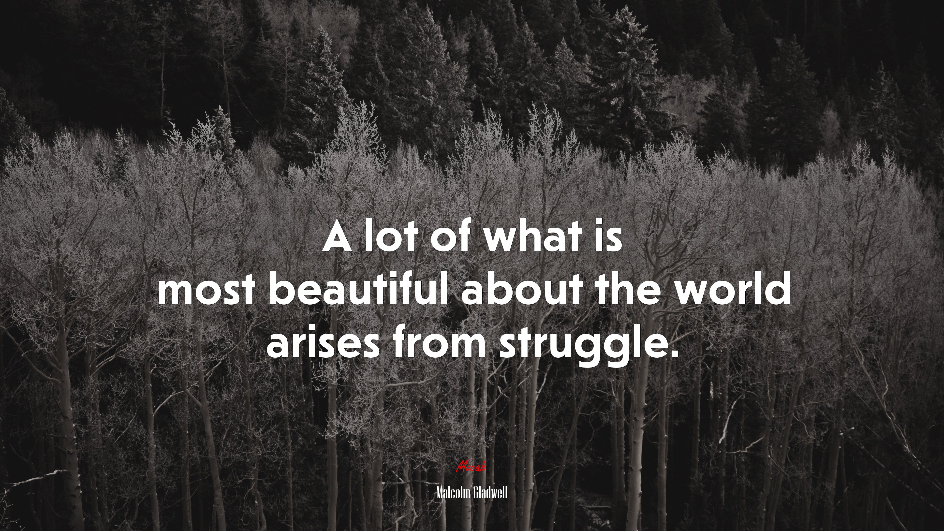 A lot of what is most beautiful about the world arises from struggle. | Malcolm Gladwell quote HD Wallpaper