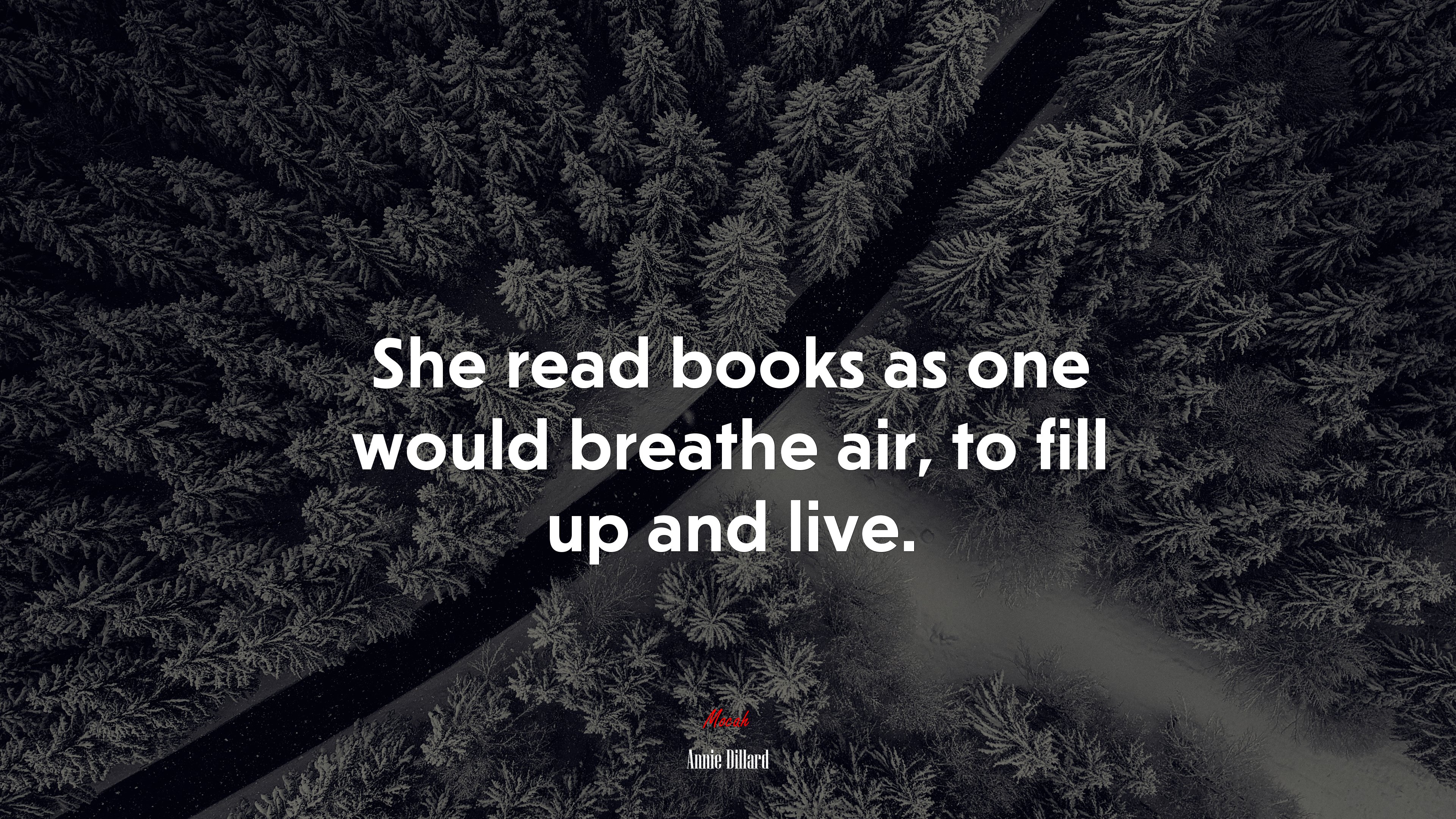 She read books as one would breathe air, to fill up and live. | Annie Dillard quote HD Wallpaper