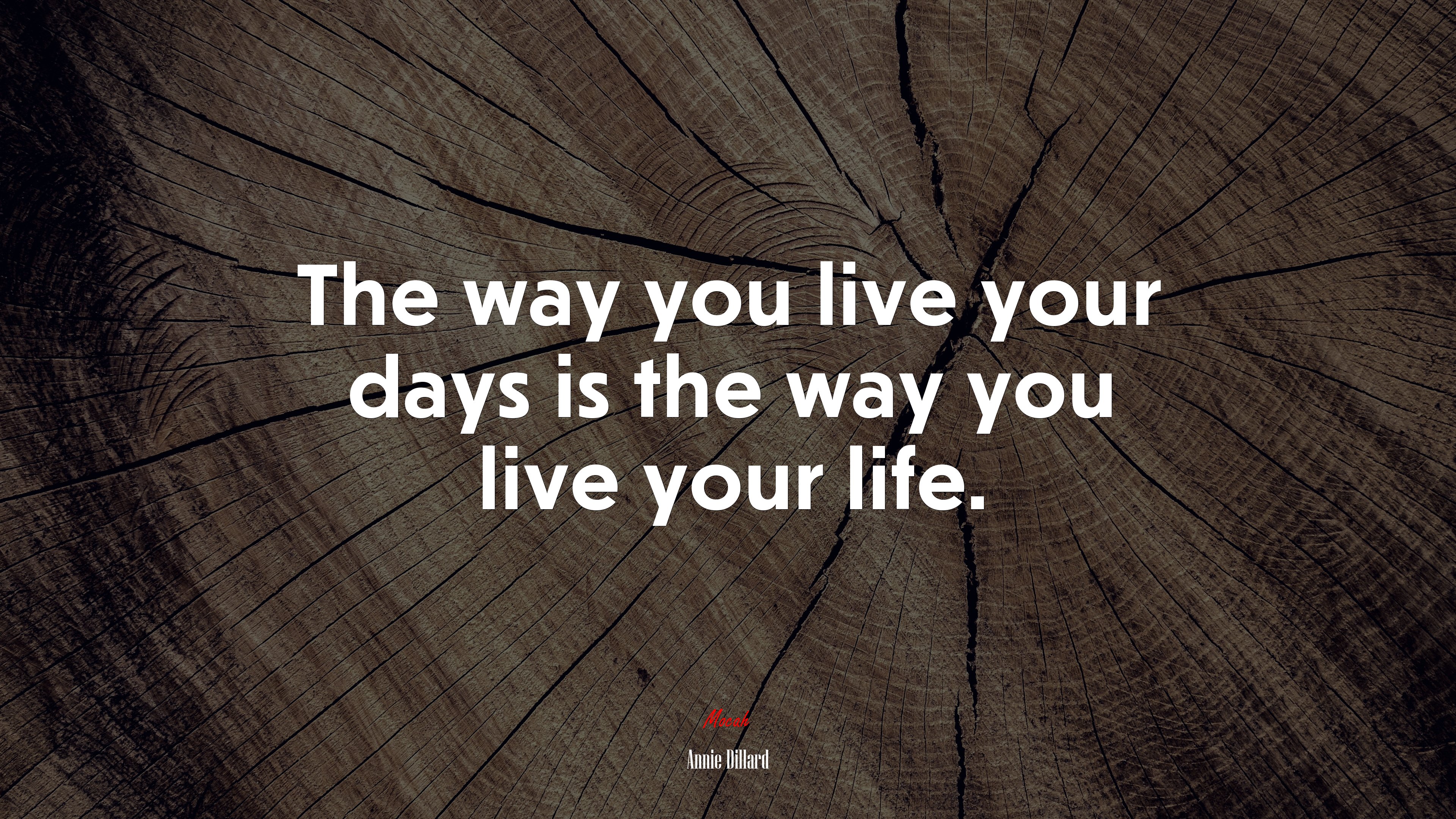 The way you live your days is the way you live your life. | Annie Dillard quote HD Wallpaper