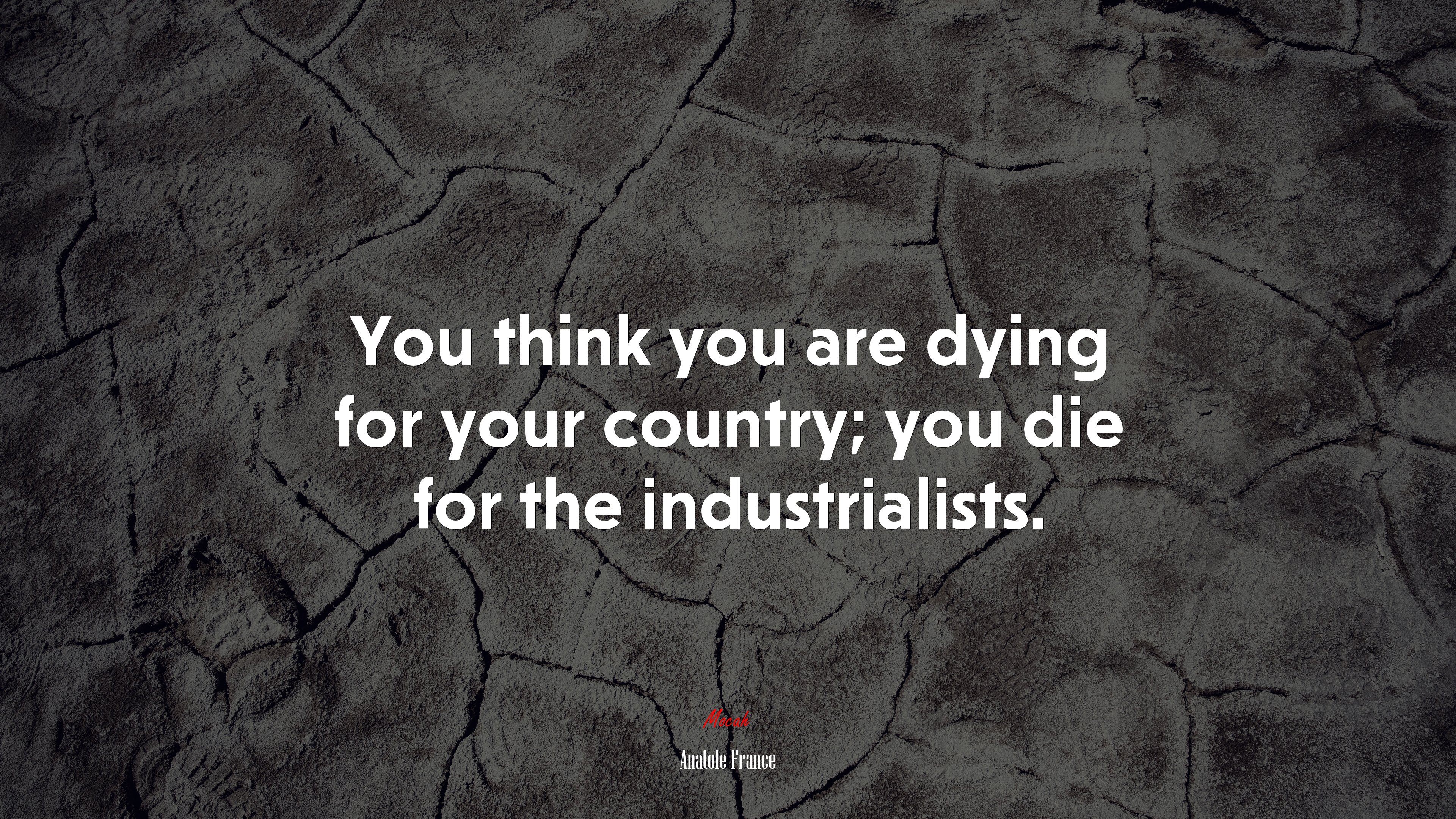You think you are dying for your country; you die for the industrialists. | Anatole France quote HD Wallpaper