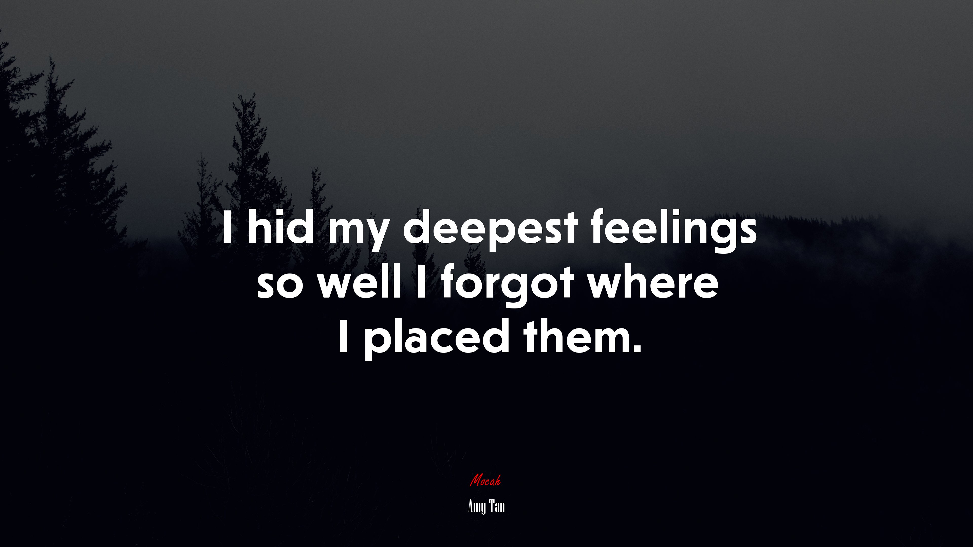 I hid my deepest feelings so well I forgot where I placed them. | Amy Tan quote HD Wallpaper