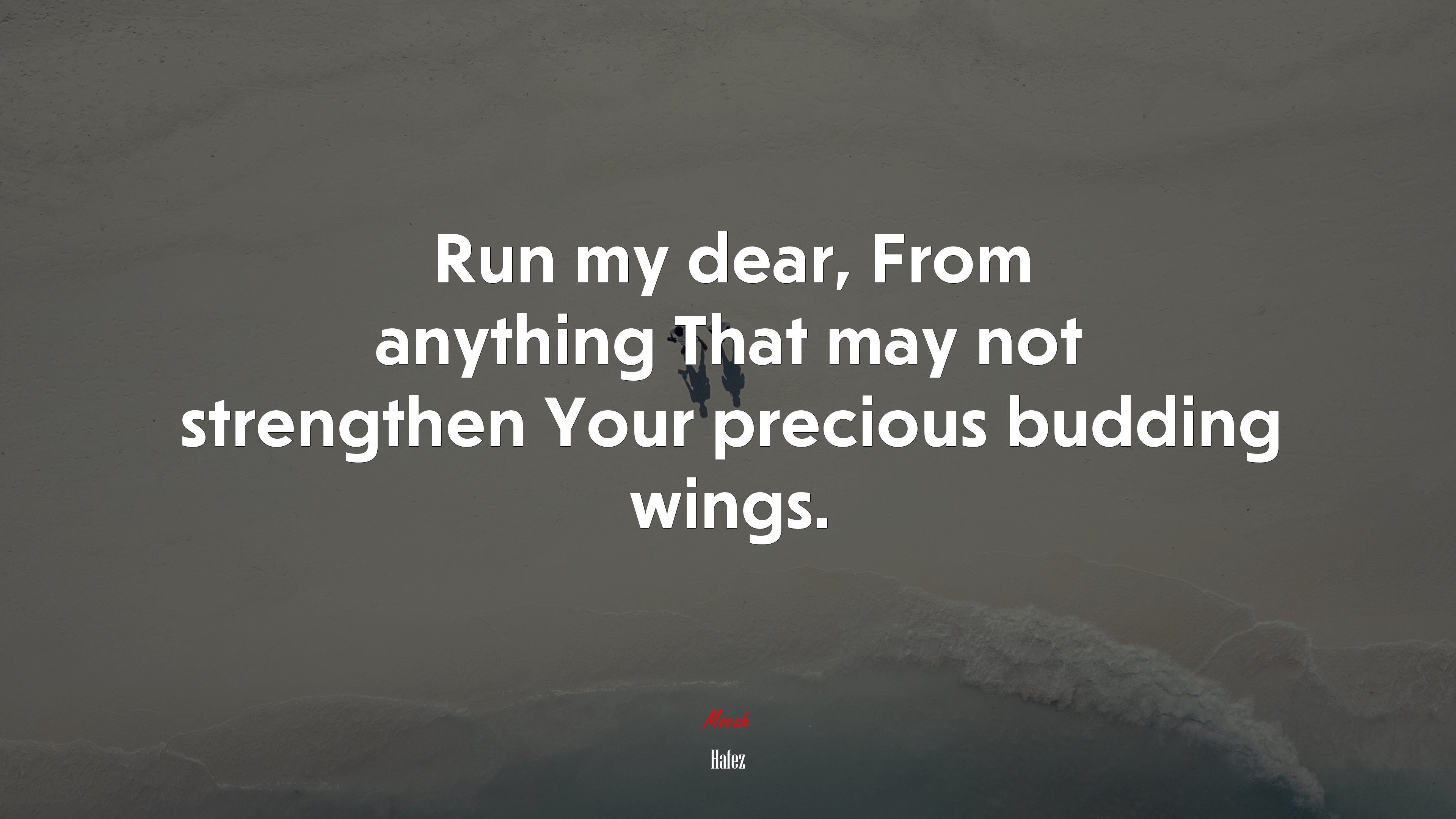 Run my dear, From anything That may not strengthen Your precious budding wings. | Hafez quote HD Wallpaper