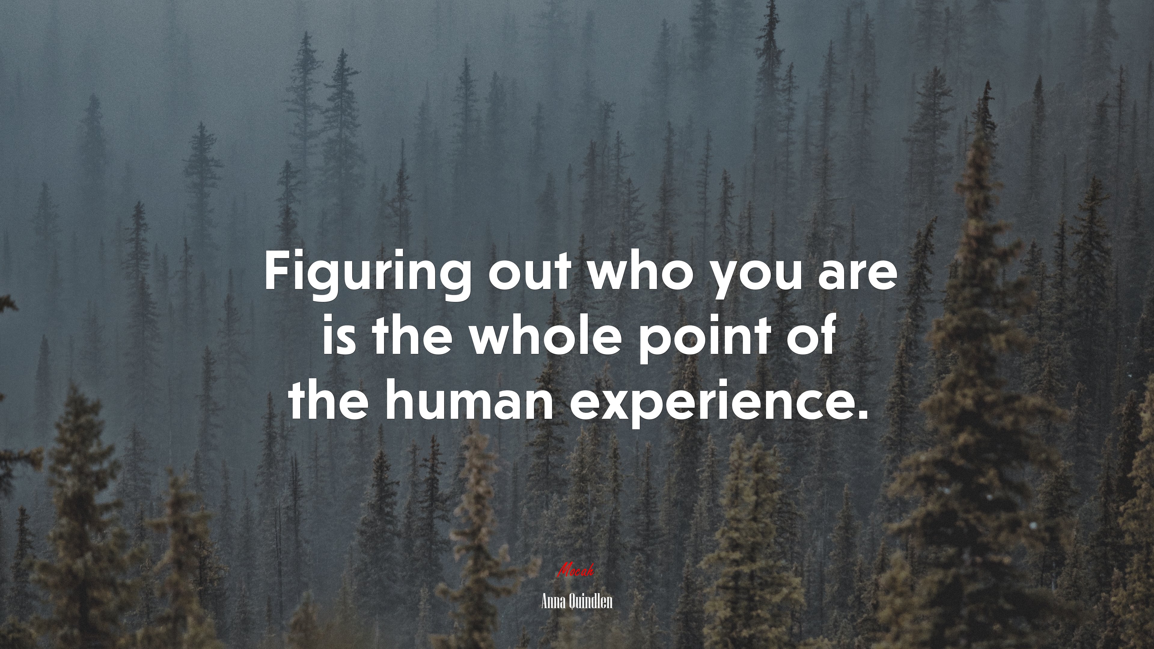 Figuring out who you are is the whole point of the human experience. | Anna Quindlen quote HD Wallpaper