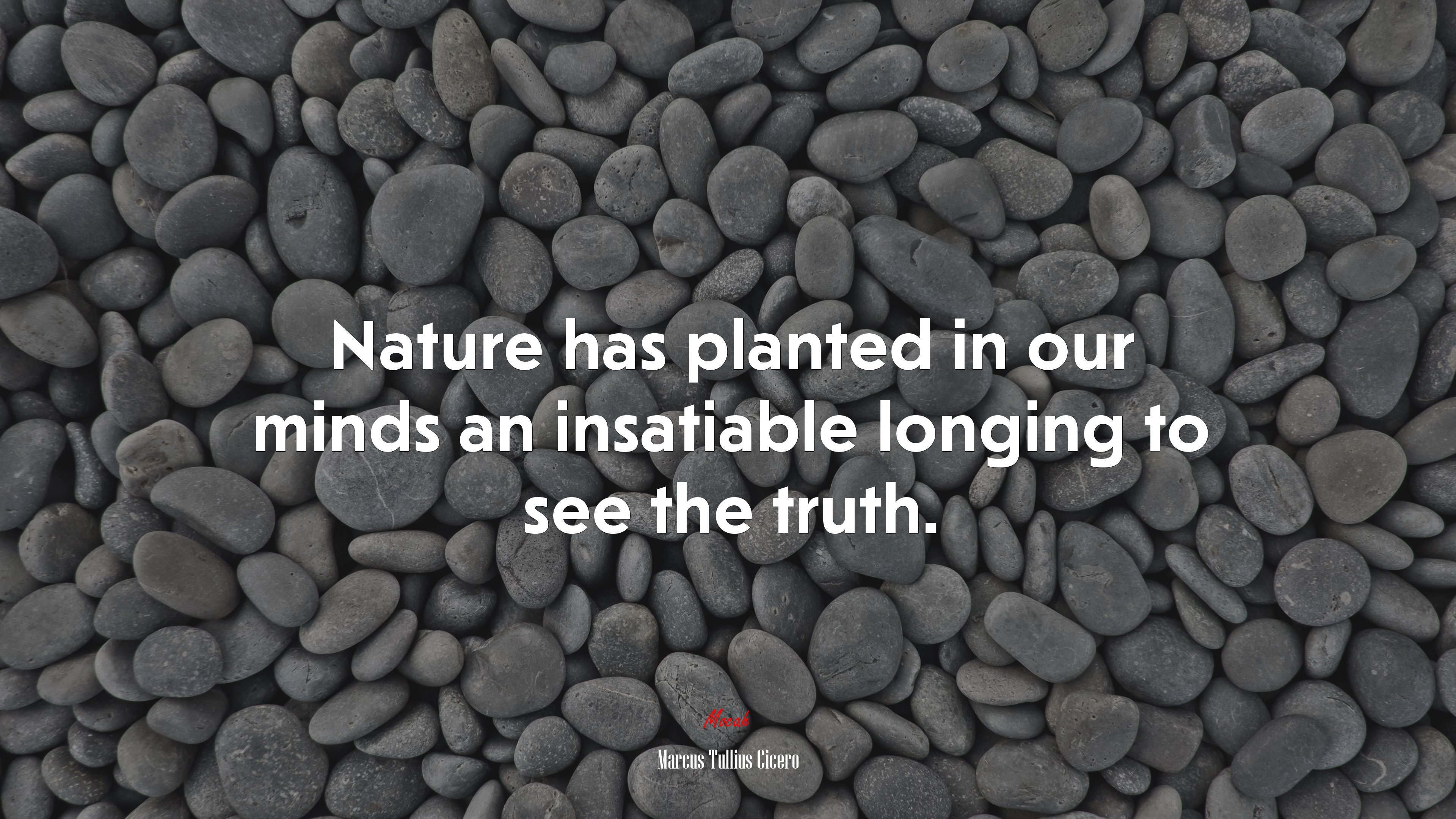 Nature has planted in our minds an insatiable longing to see the truth. | Marcus Tullius Cicero quote HD Wallpaper