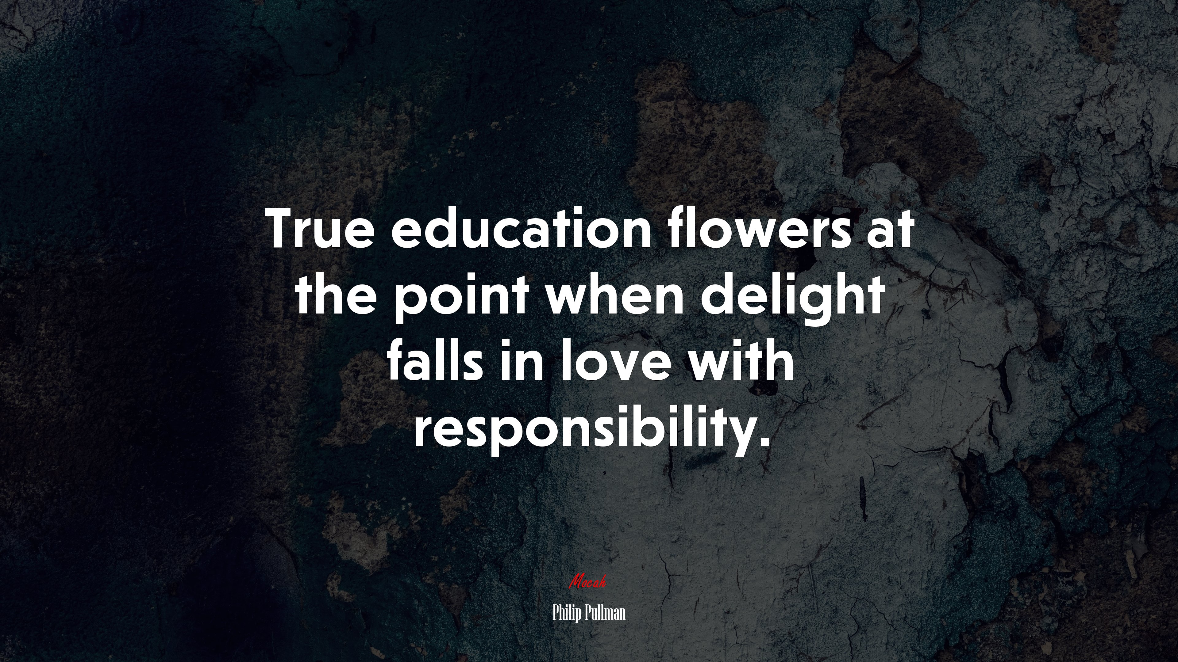 True education flowers at the point when delight falls in love with responsibility. | Philip Pullman quote HD Wallpaper