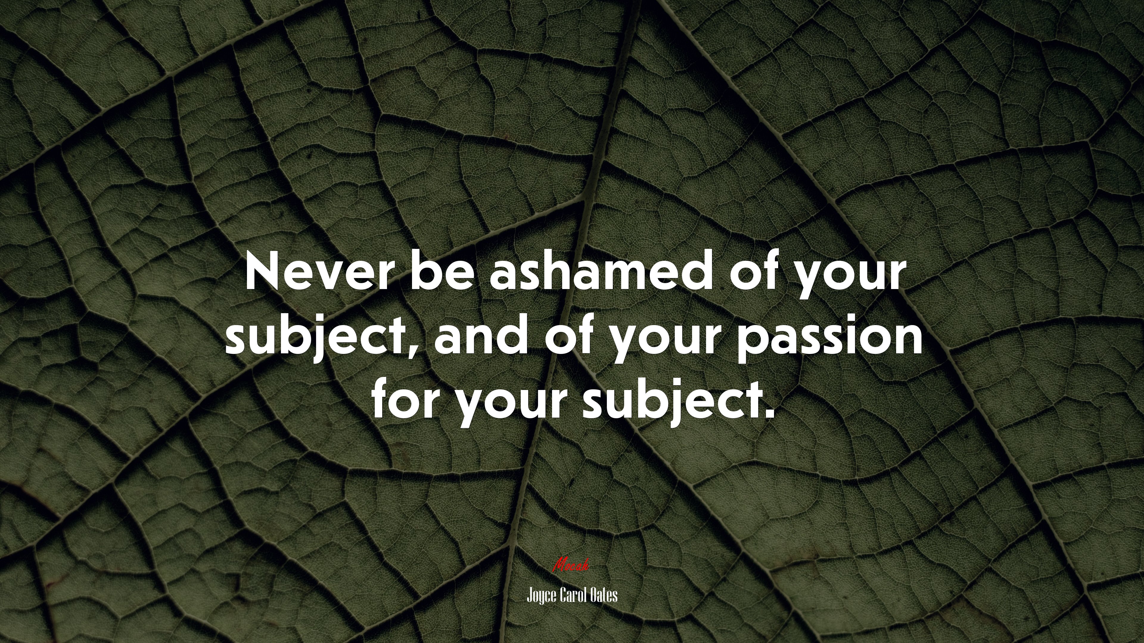 Never be ashamed of your subject, and of your passion for your subject. | Joyce Carol Oates quote HD Wallpaper