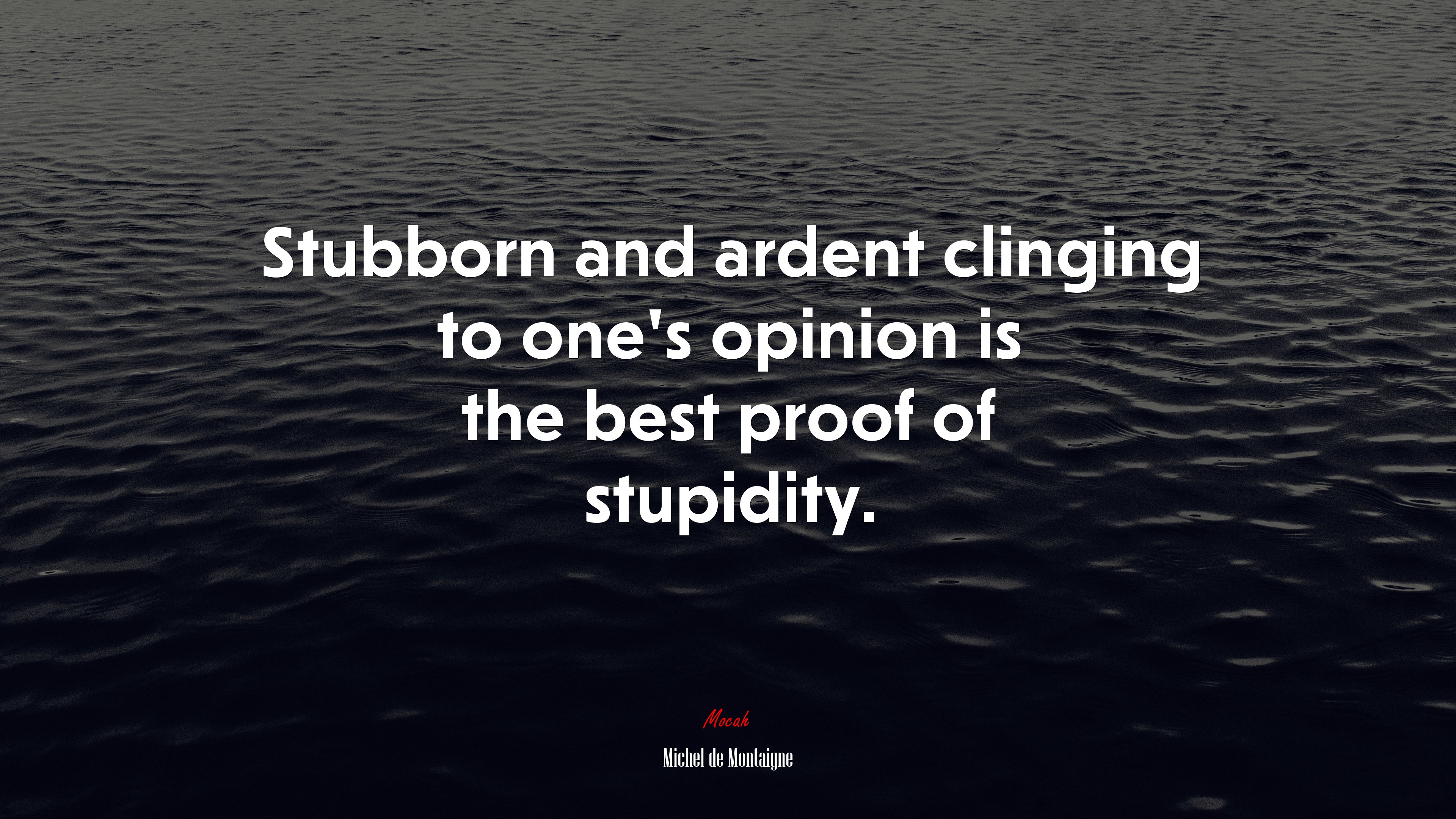 Stubborn and ardent clinging to one’s opinion is the best proof of stupidity. | Michel de Montaigne quote HD Wallpaper