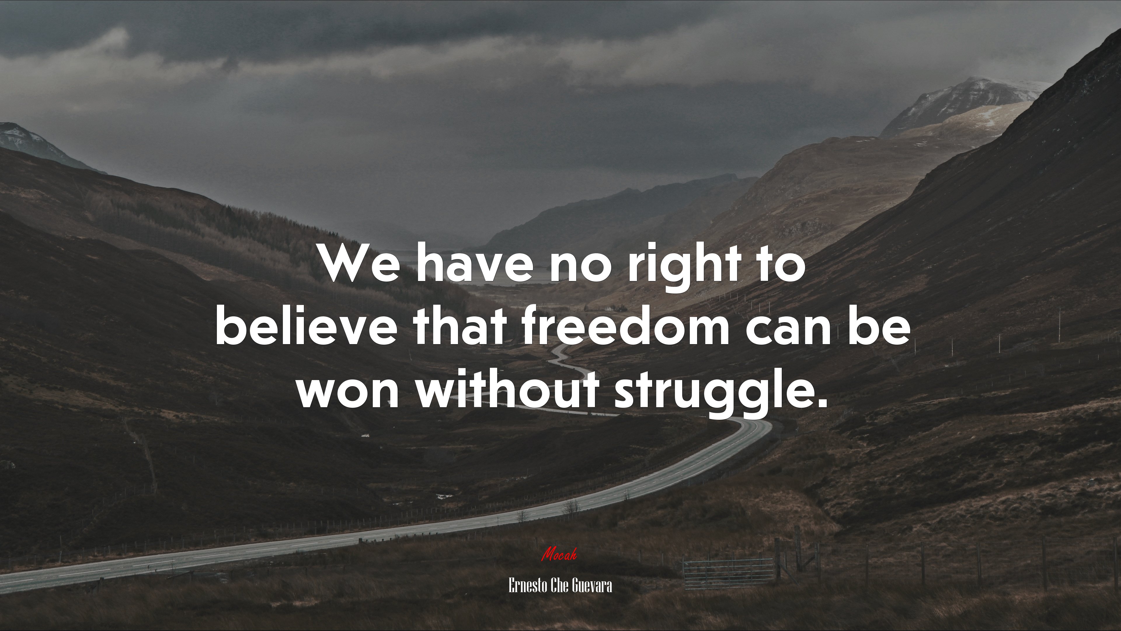 We have no right to believe that freedom can be won without struggle. | Ernesto Che Guevara quote HD Wallpaper
