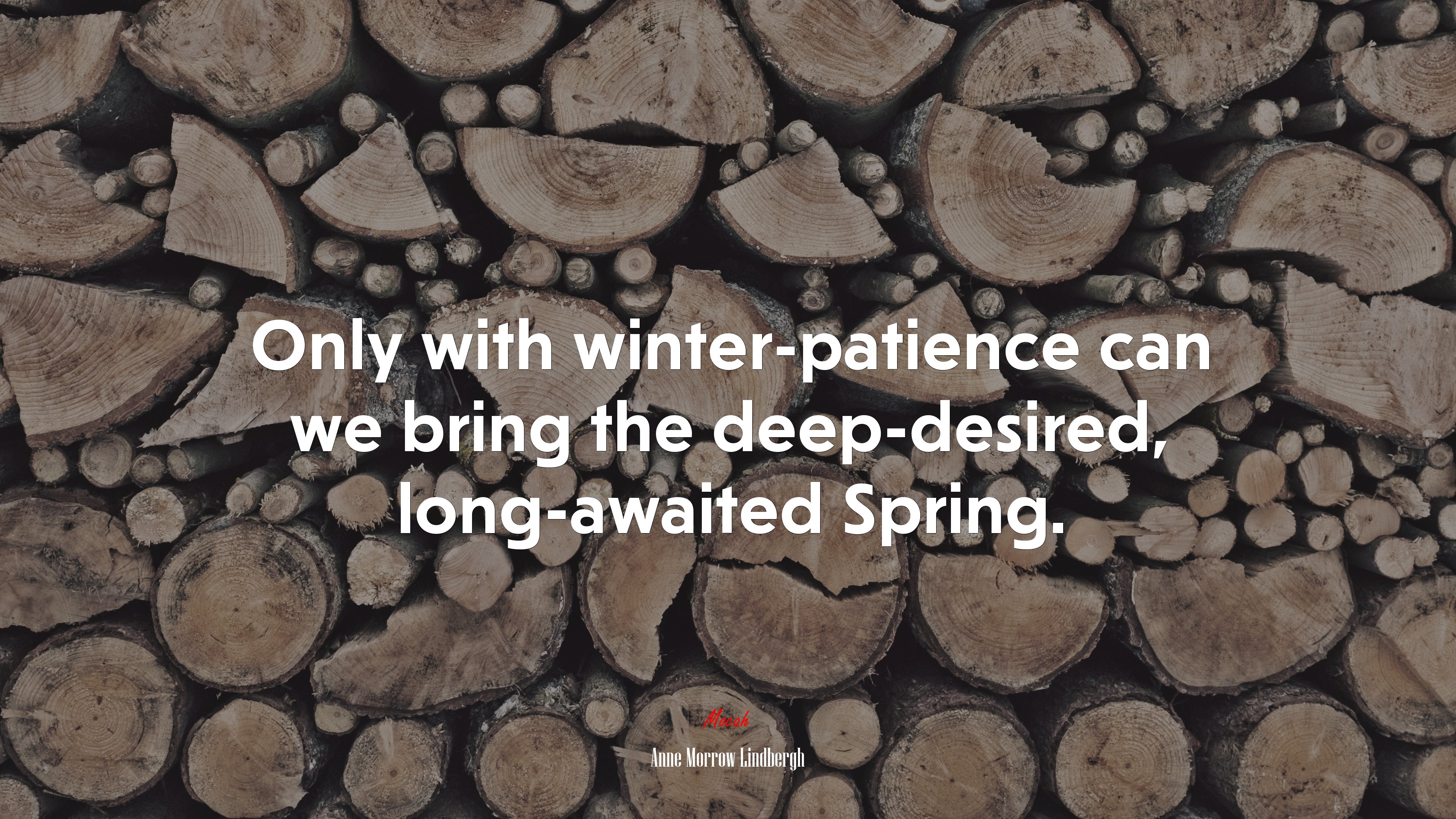 Only with winter-patience can we bring the deep-desired, long-awaited Spring. | Anne Morrow Lindbergh quote HD Wallpaper