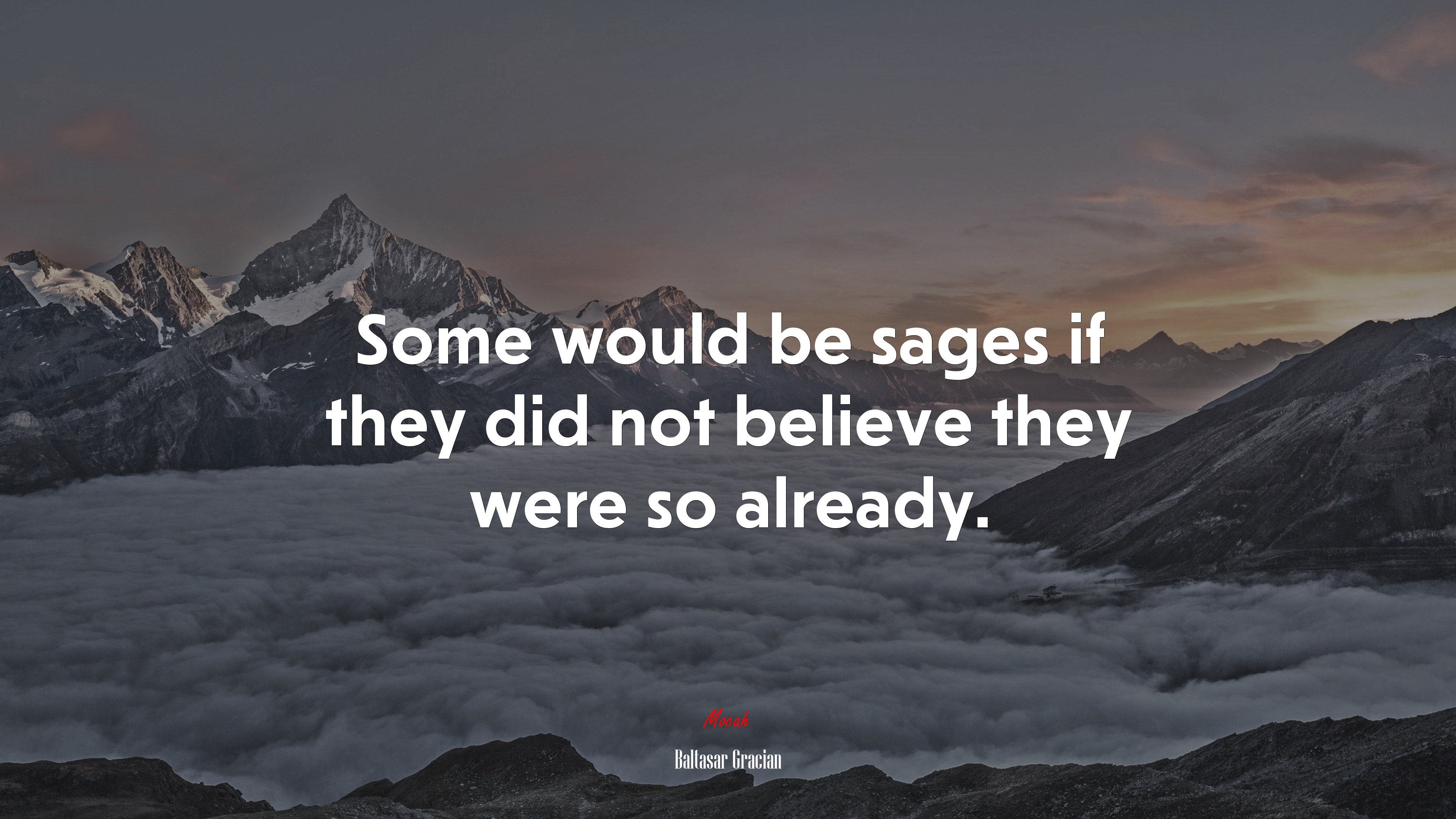 Some would be sages if they did not believe they were so already. | Baltasar Gracián quote HD Wallpaper