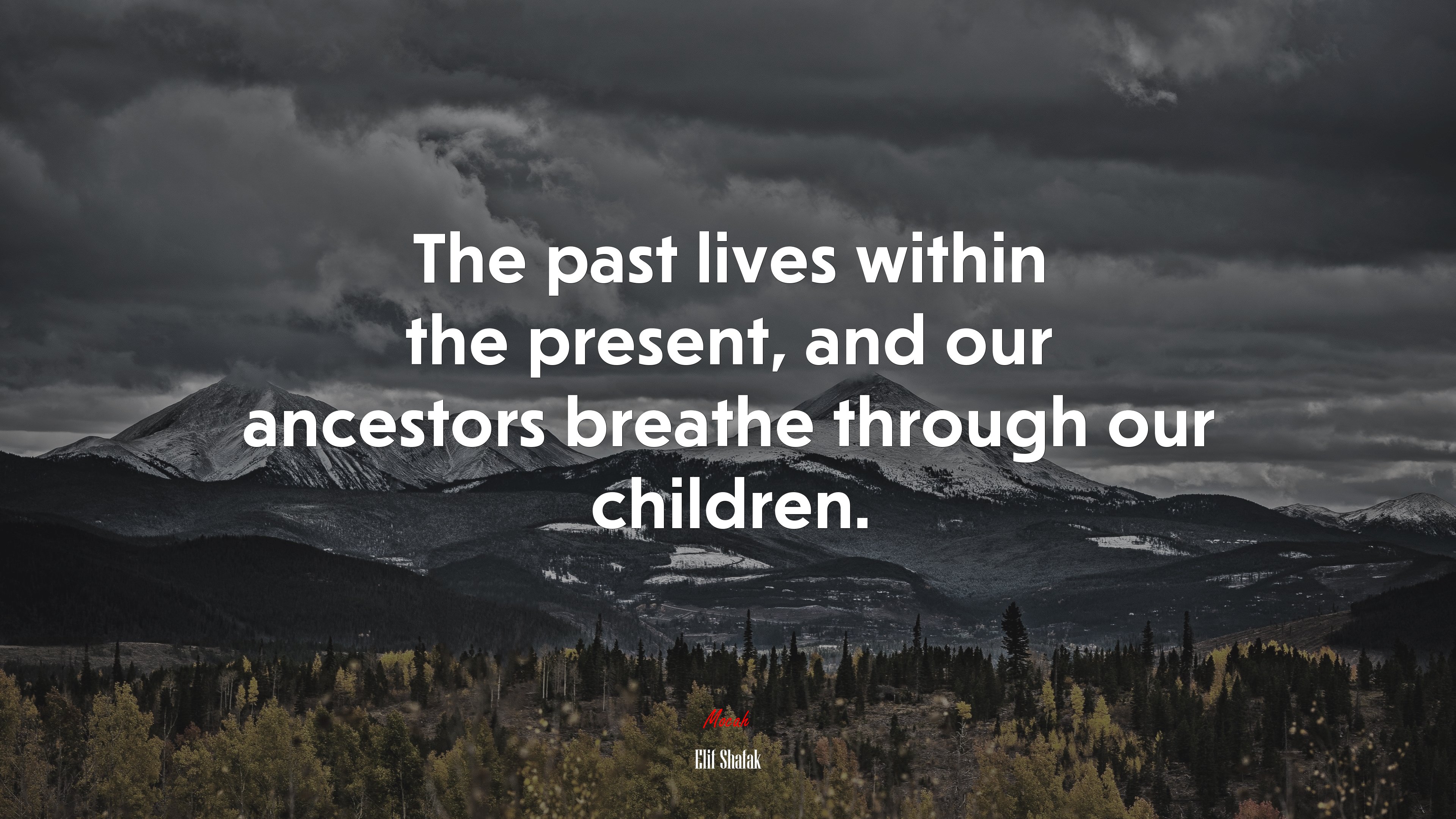 The past lives within the present, and our ancestors breathe through our children. | Elif Shafak quote HD Wallpaper