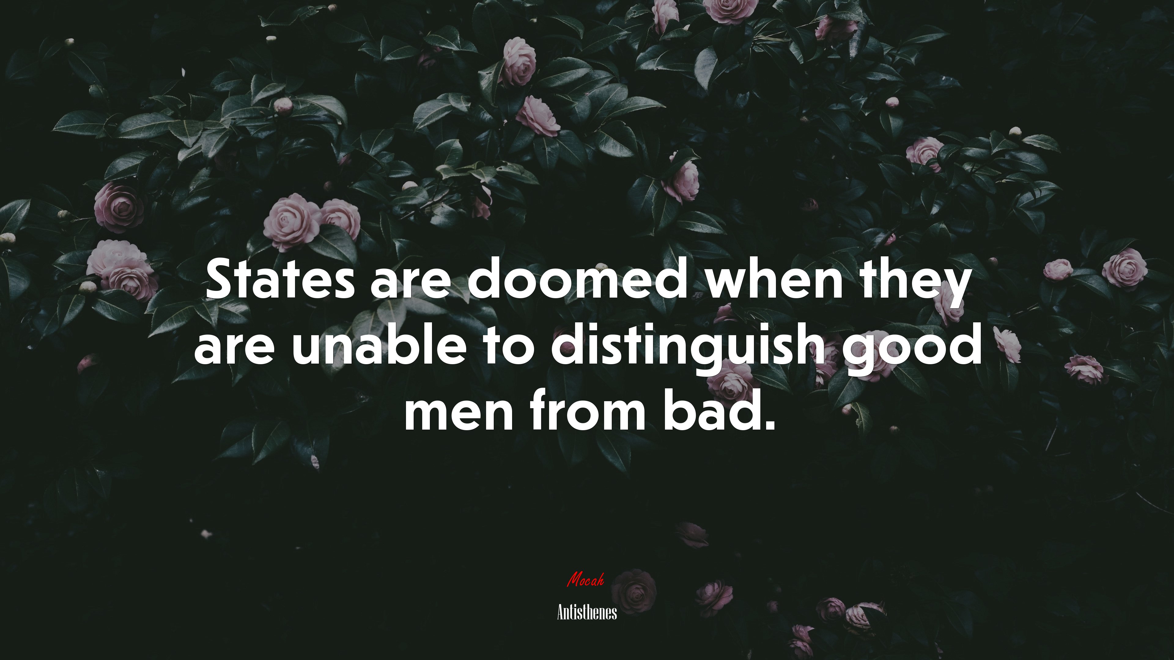States are doomed when they are unable to distinguish good men from bad. | Antisthenes quote HD Wallpaper