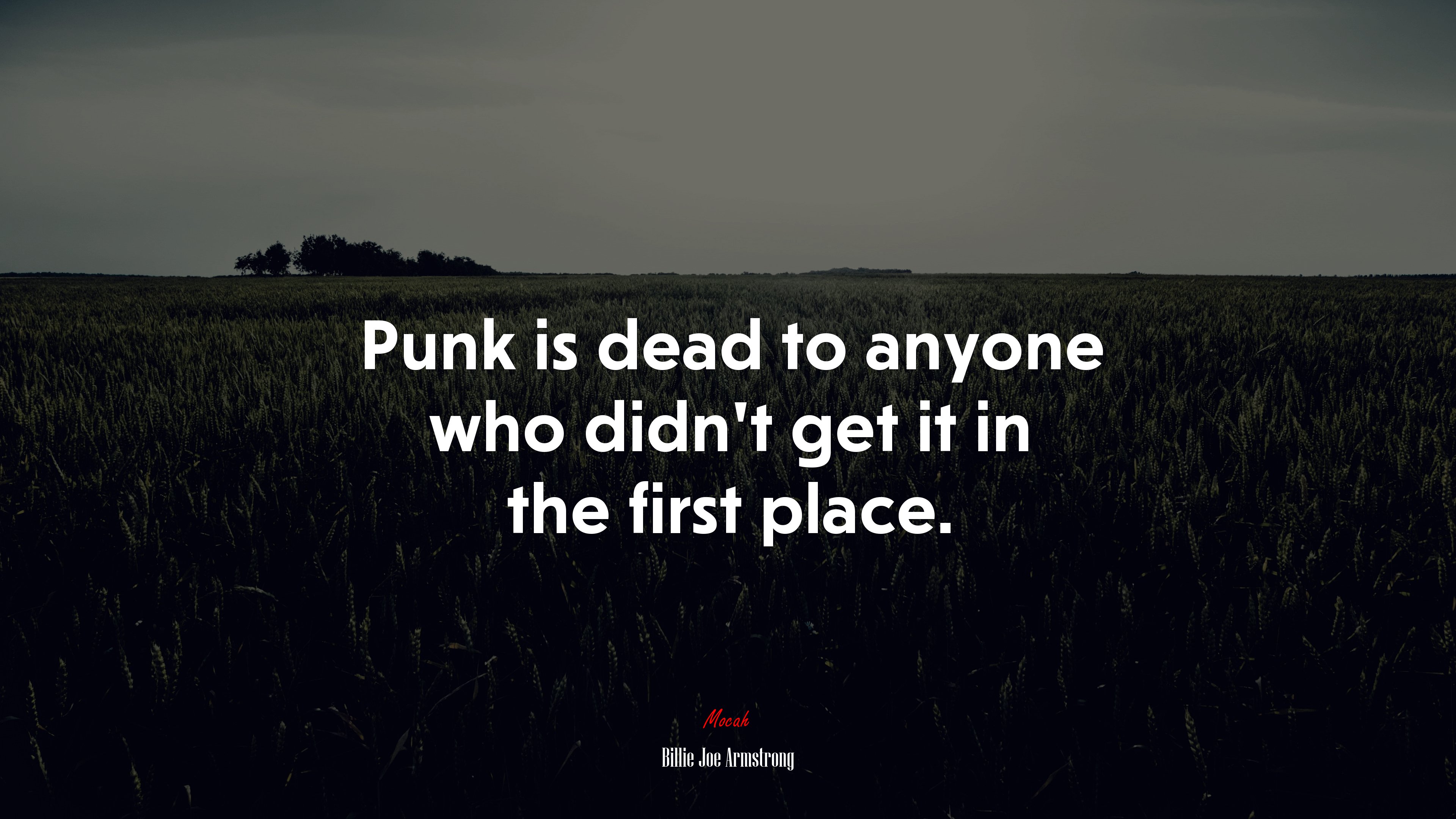 Punk is dead to anyone who didn’t get it in the first place. | Billie Joe Armstrong quote HD Wallpaper