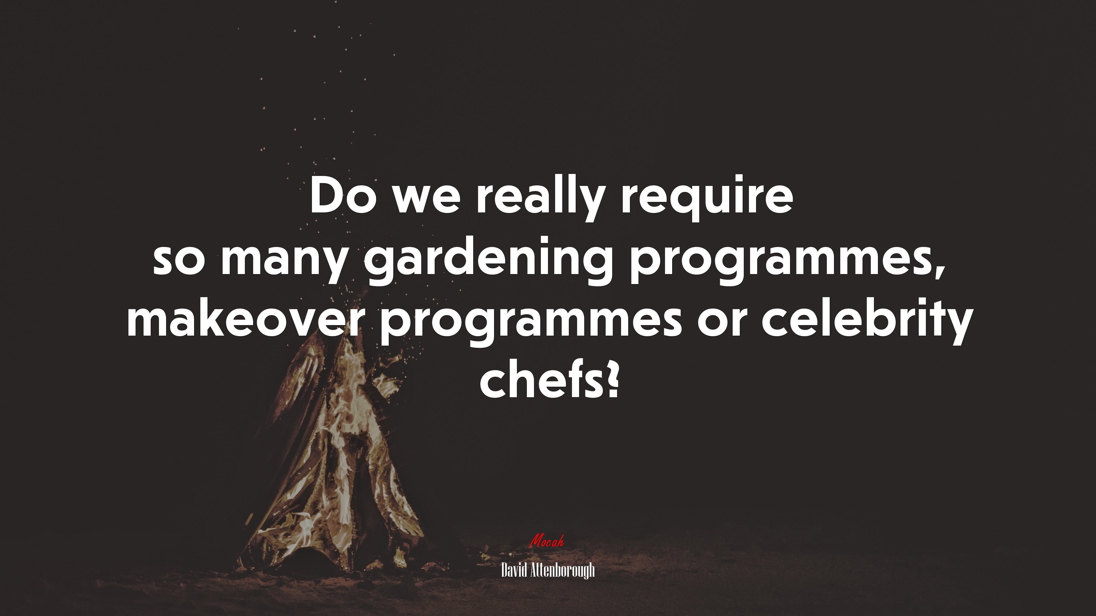 Do we really require so many gardening programmes, makeover programmes or celebrity chefs? | David Attenborough quote HD Wallpaper