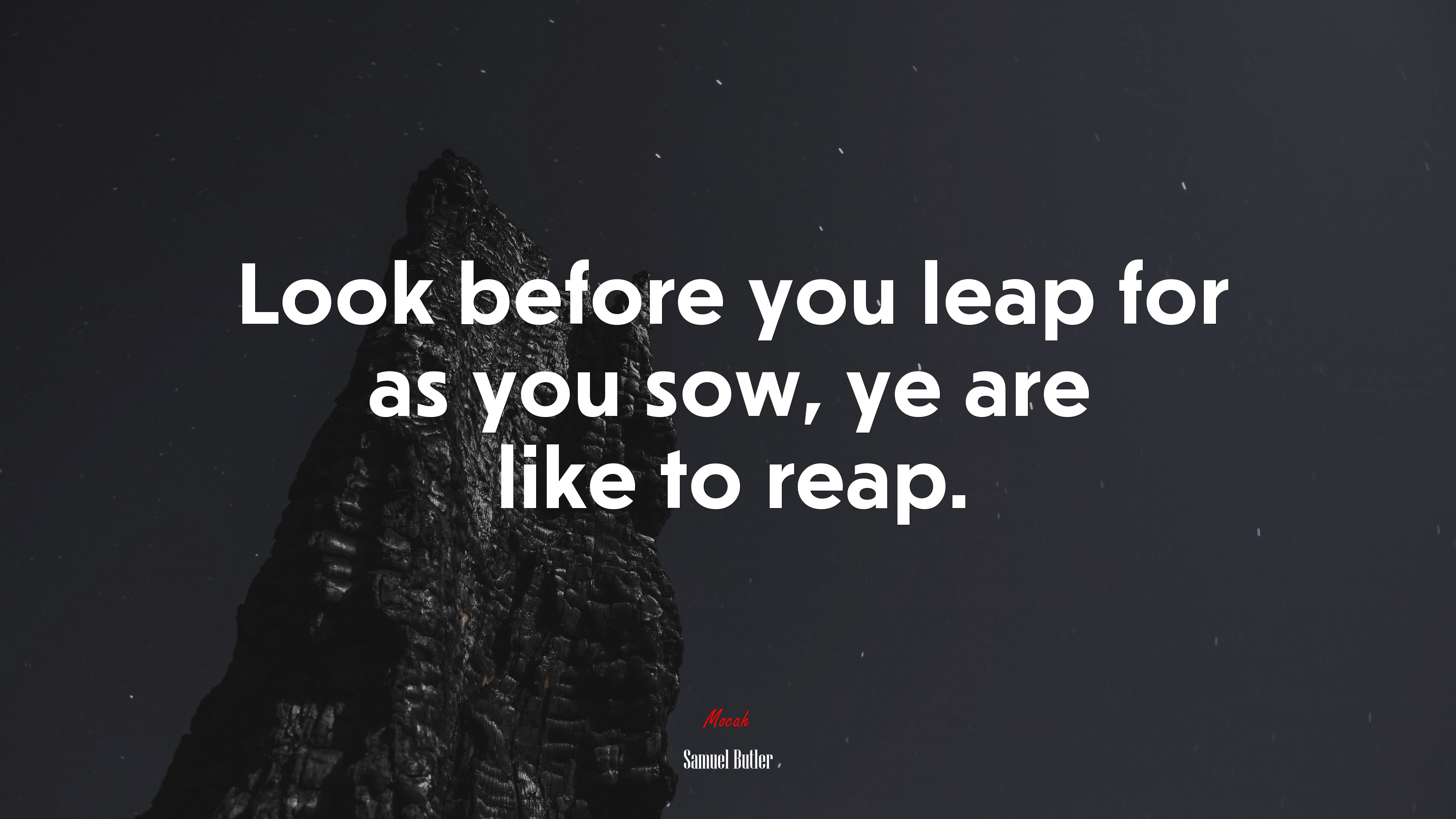 Look before you leap for as you sow, ye are like to reap. | Samuel Butler quote HD Wallpaper