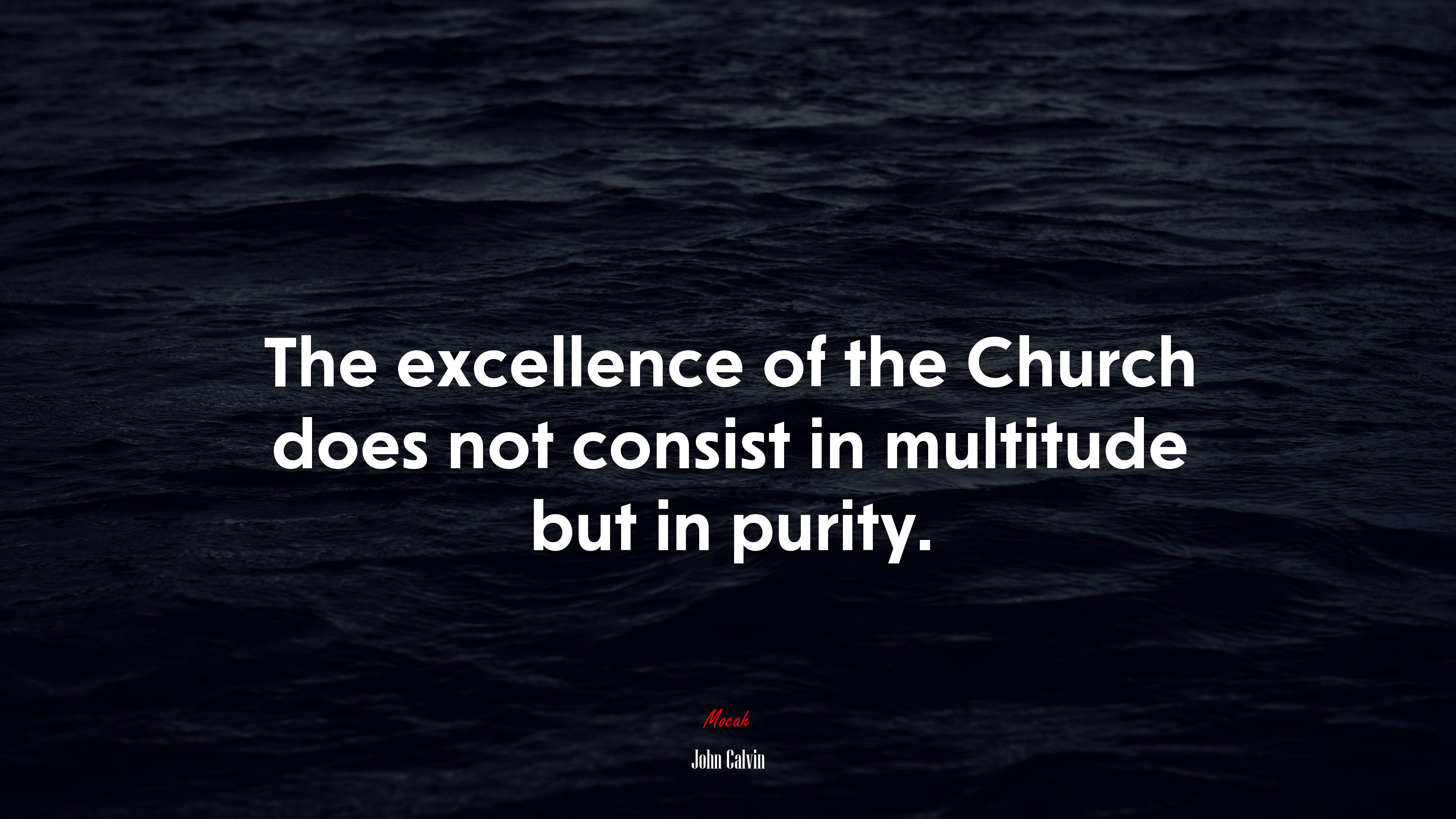 The excellence of the Church does not consist in multitude but in purity. | John Calvin quote HD Wallpaper