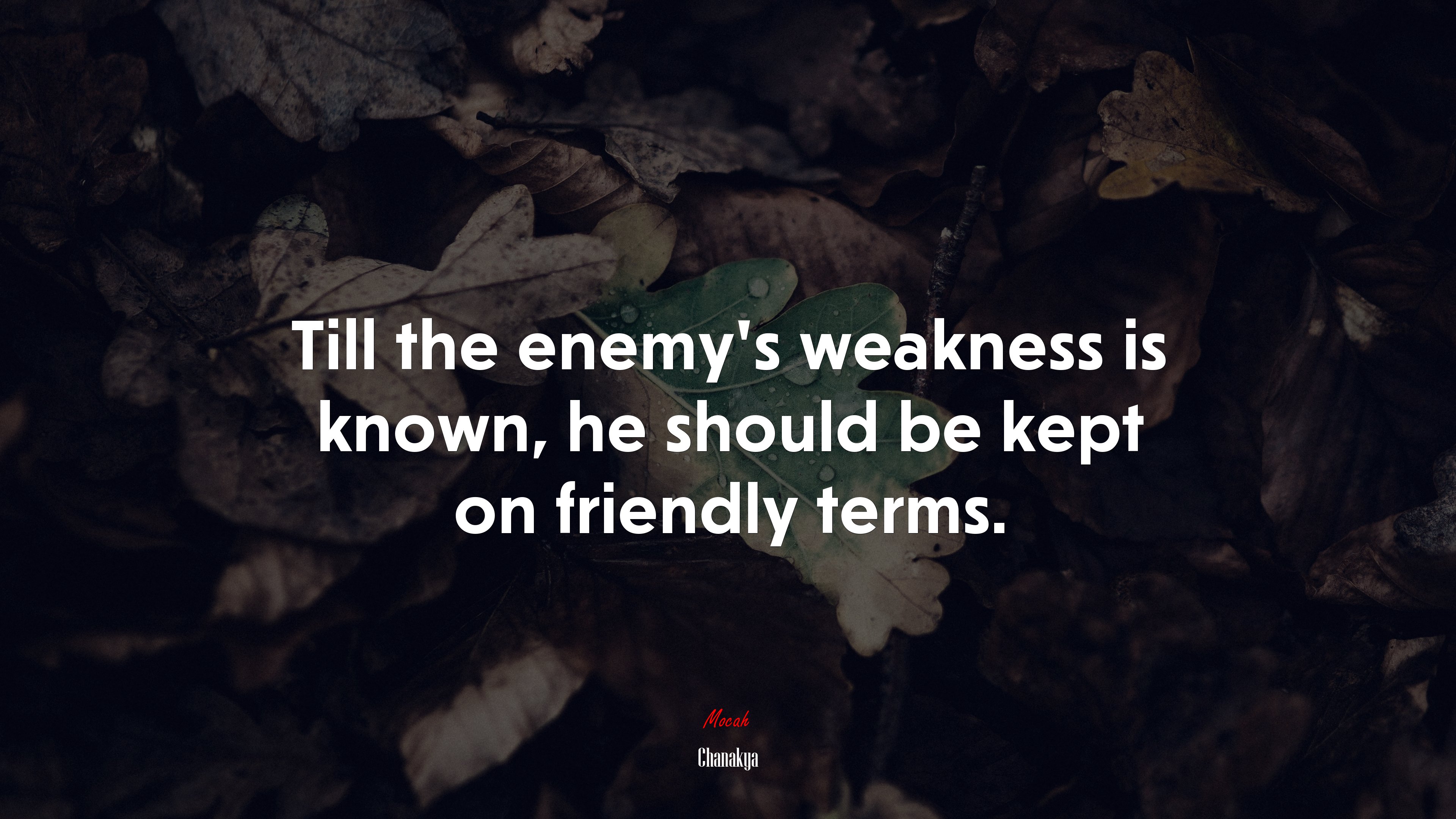Till the enemy’s weakness is known, he should be kept on friendly terms. | Chanakya quote HD Wallpaper