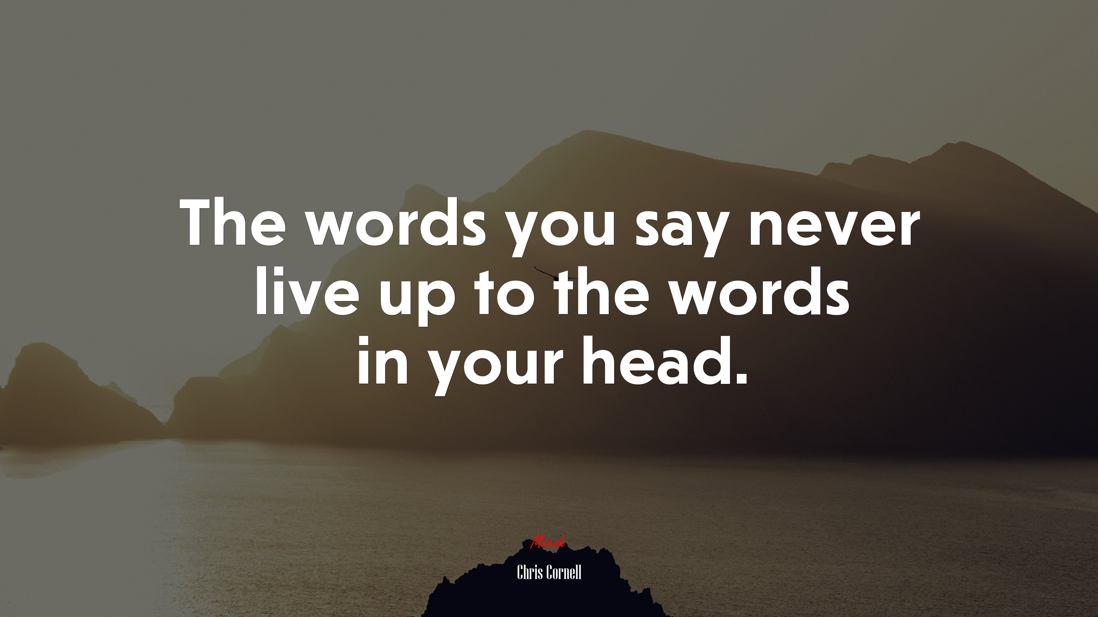 The words you say never live up to the words in your head. | Chris Cornell quote HD Wallpaper