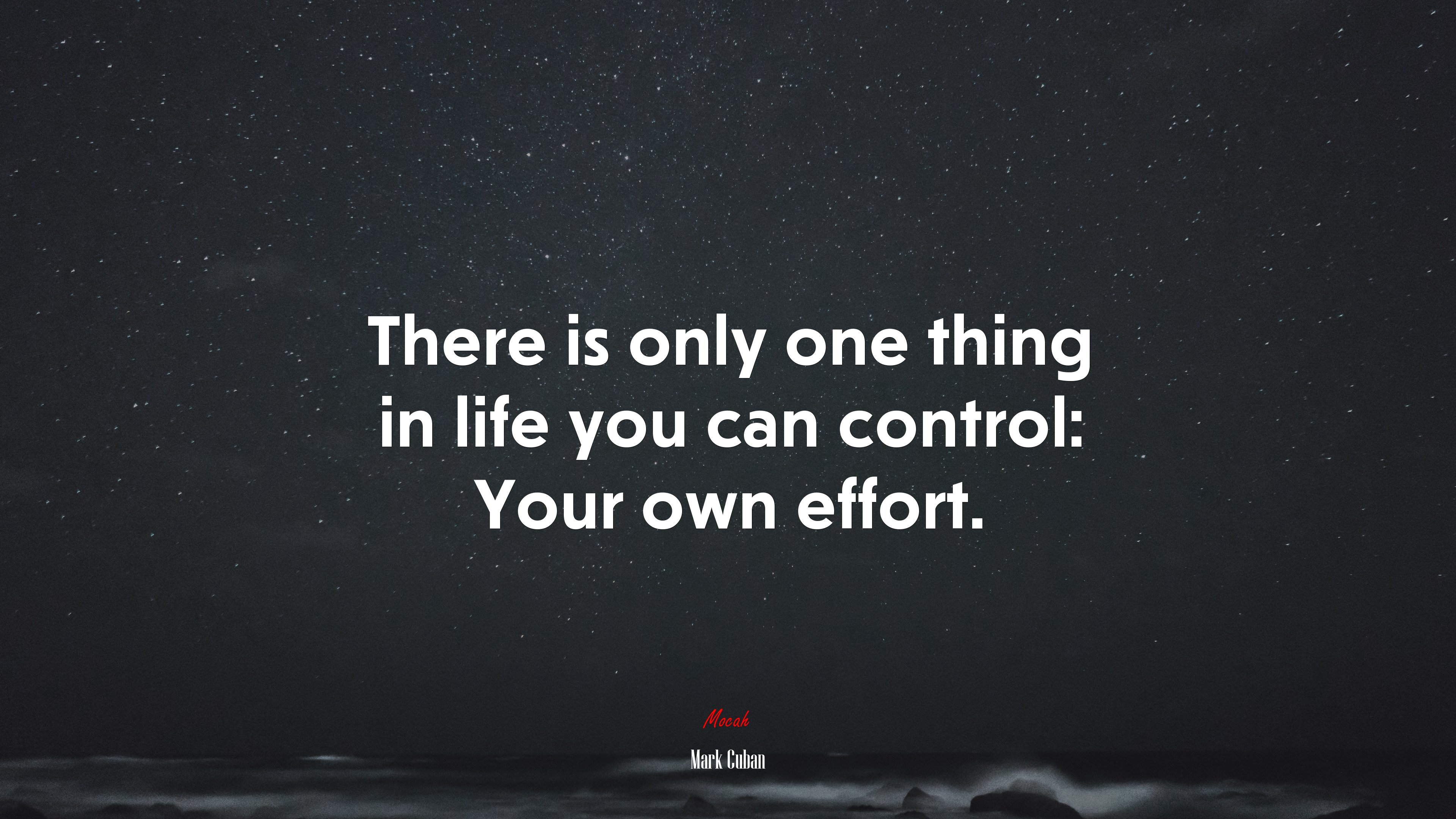 There is only one thing in life you can control: Your own effort. | Mark Cuban quote HD Wallpaper