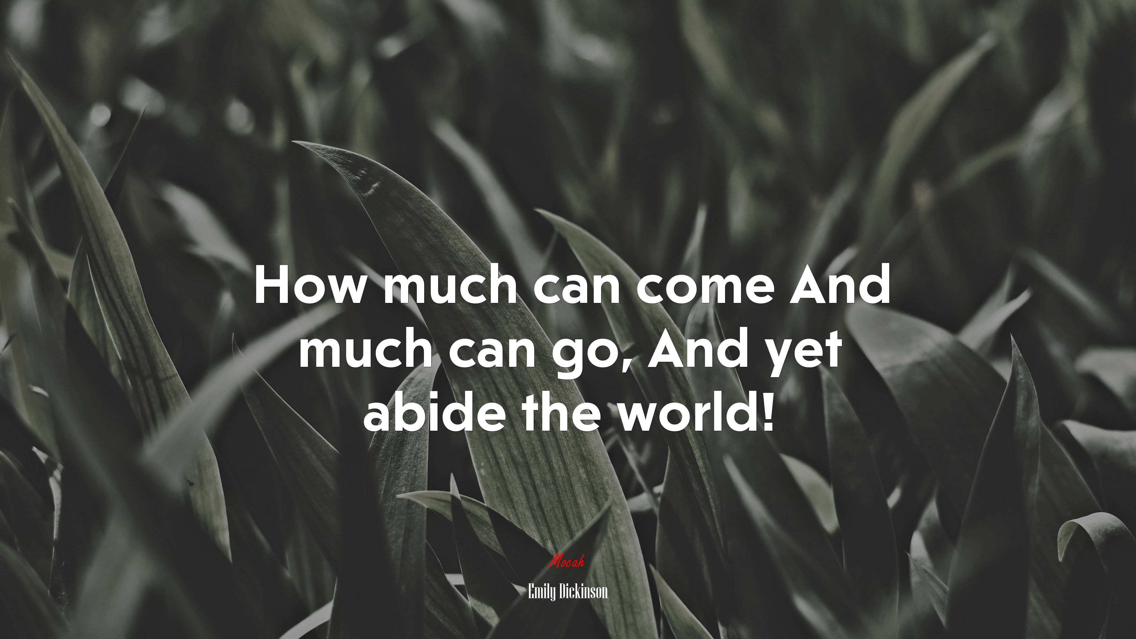 How much can come And much can go, And yet abide the world! | Emily Dickinson quote HD Wallpaper