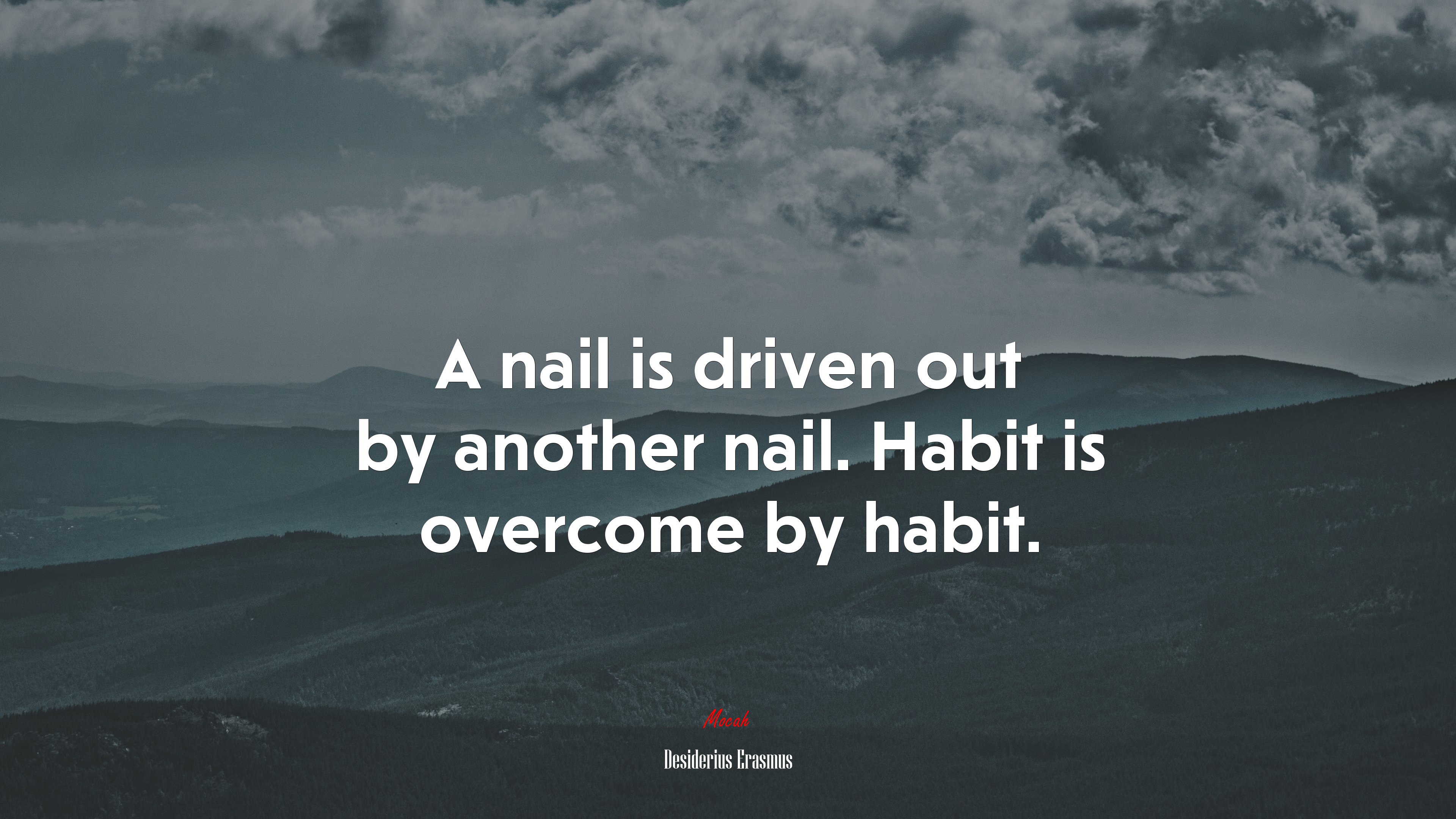 A nail is driven out by another nail. Habit is overcome by habit. | Desiderius Erasmus quote HD Wallpaper