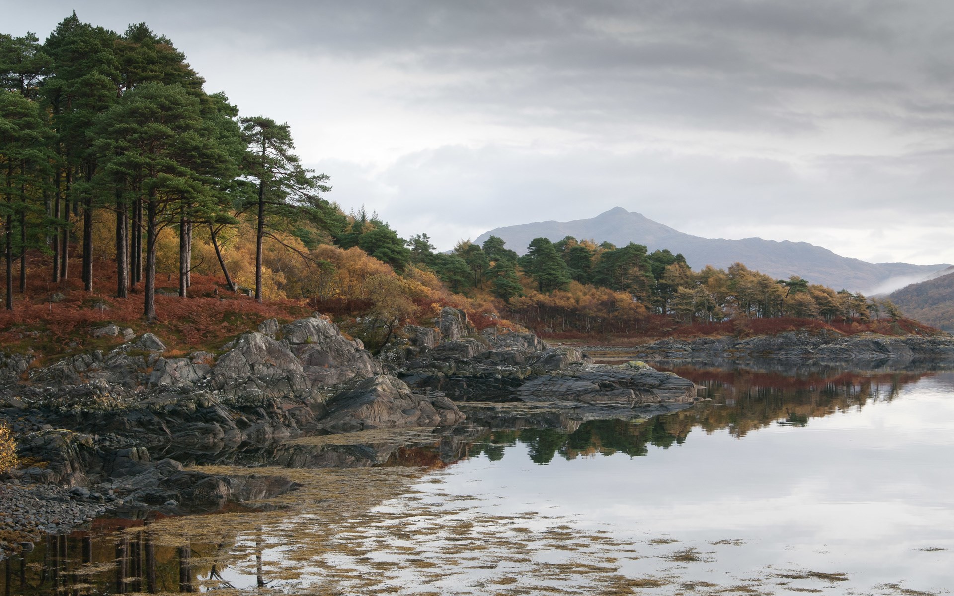 Rocky shoreline with trees and mountains reflected in water HD Wallpaper