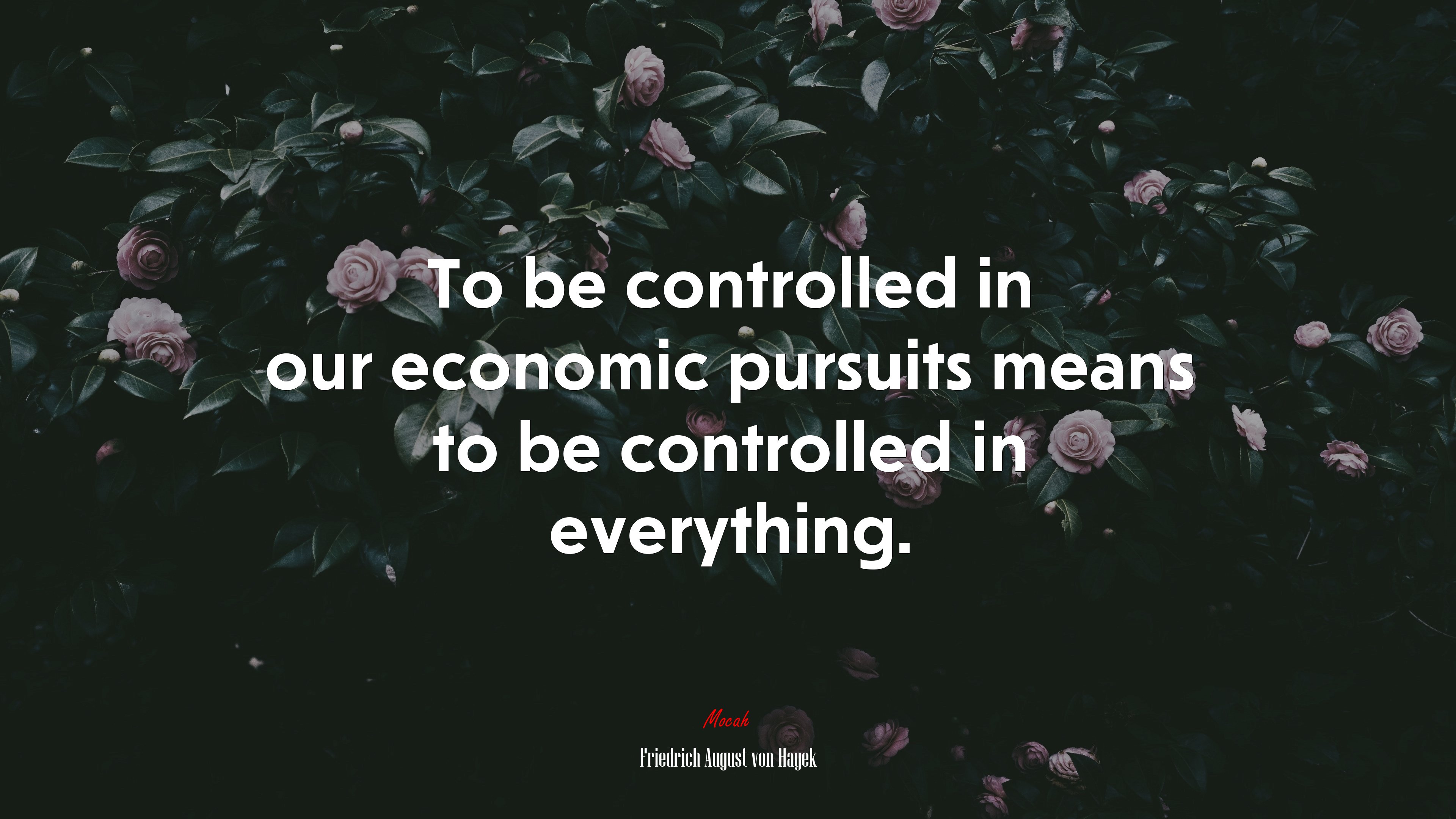 To be controlled in our economic pursuits means to be controlled in everything. | Friedrich August von Hayek quote HD Wallpaper