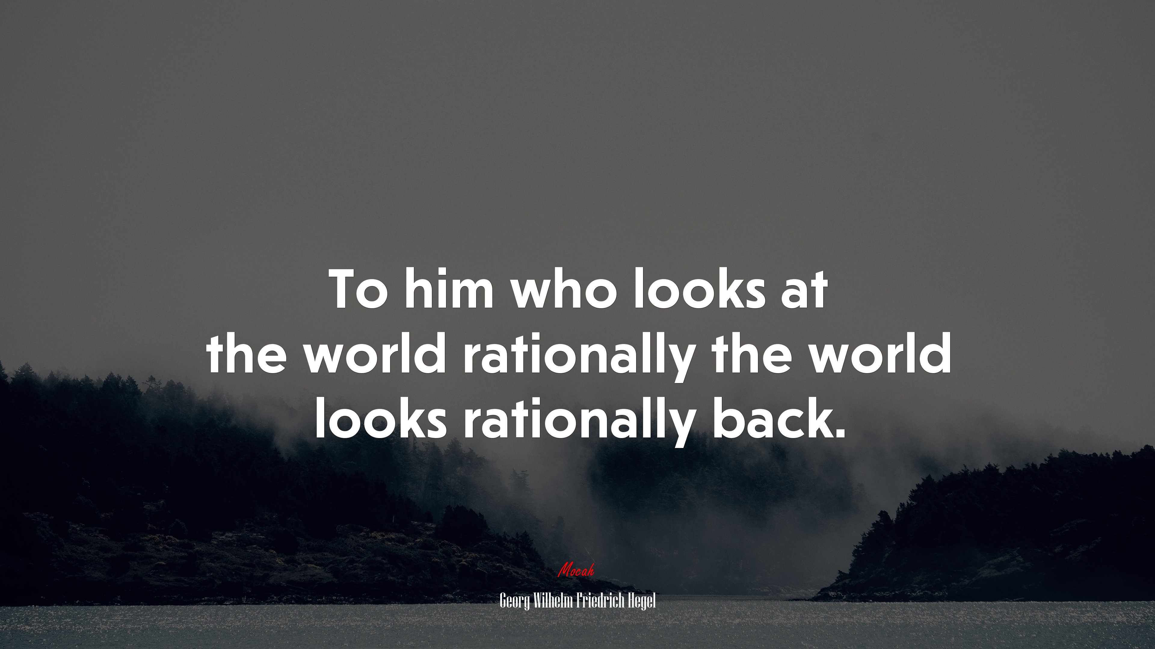 To him who looks at the world rationally the world looks rationally back. | Georg Wilhelm Friedrich Hegel quote HD Wallpaper