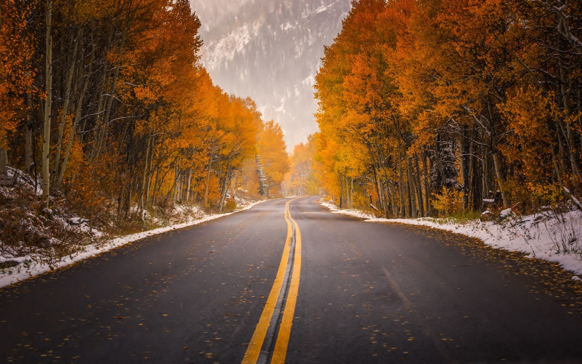 Road through autumn forest with snow HD Wallpaper